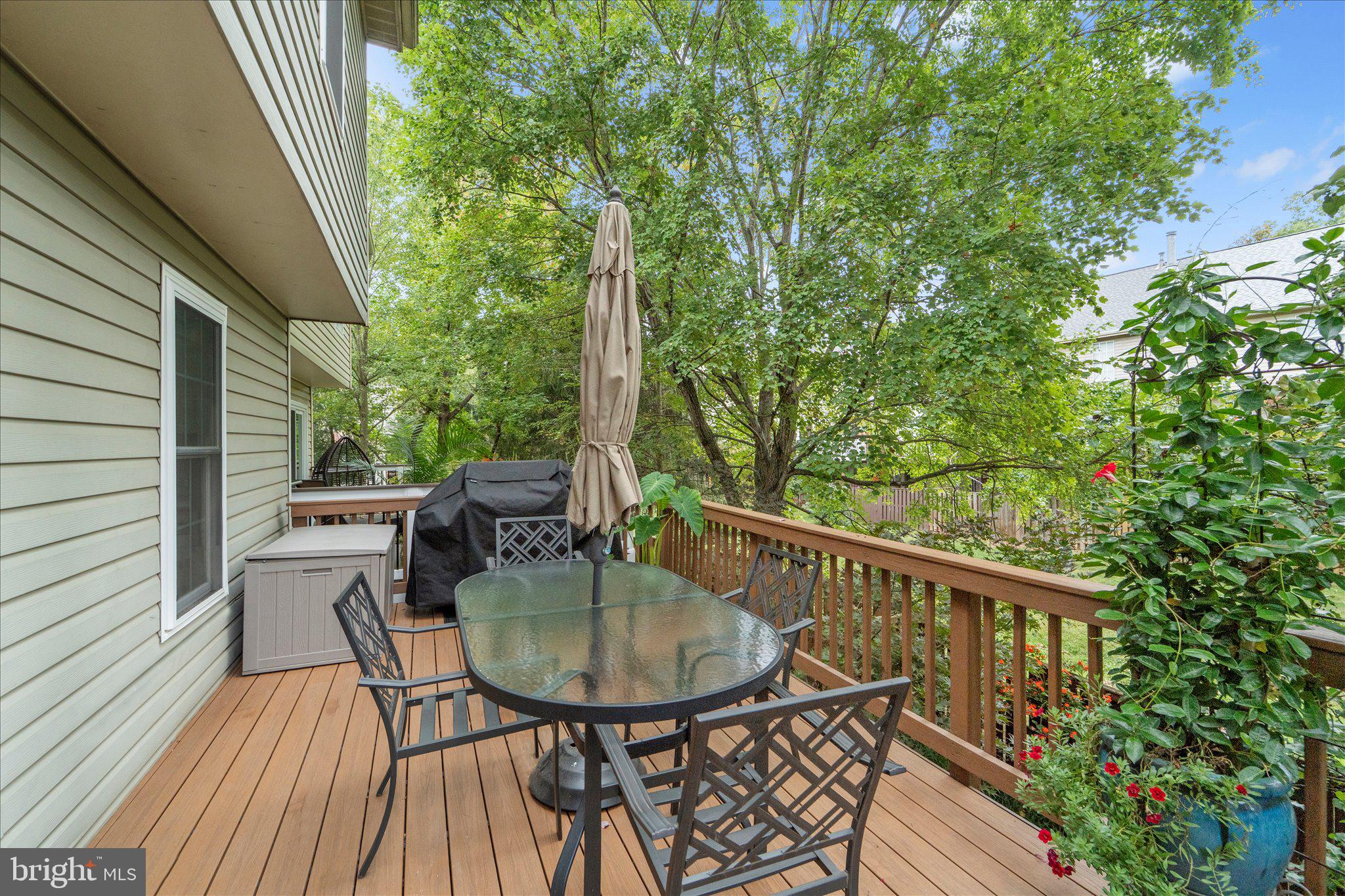 46574 BROADSPEAR