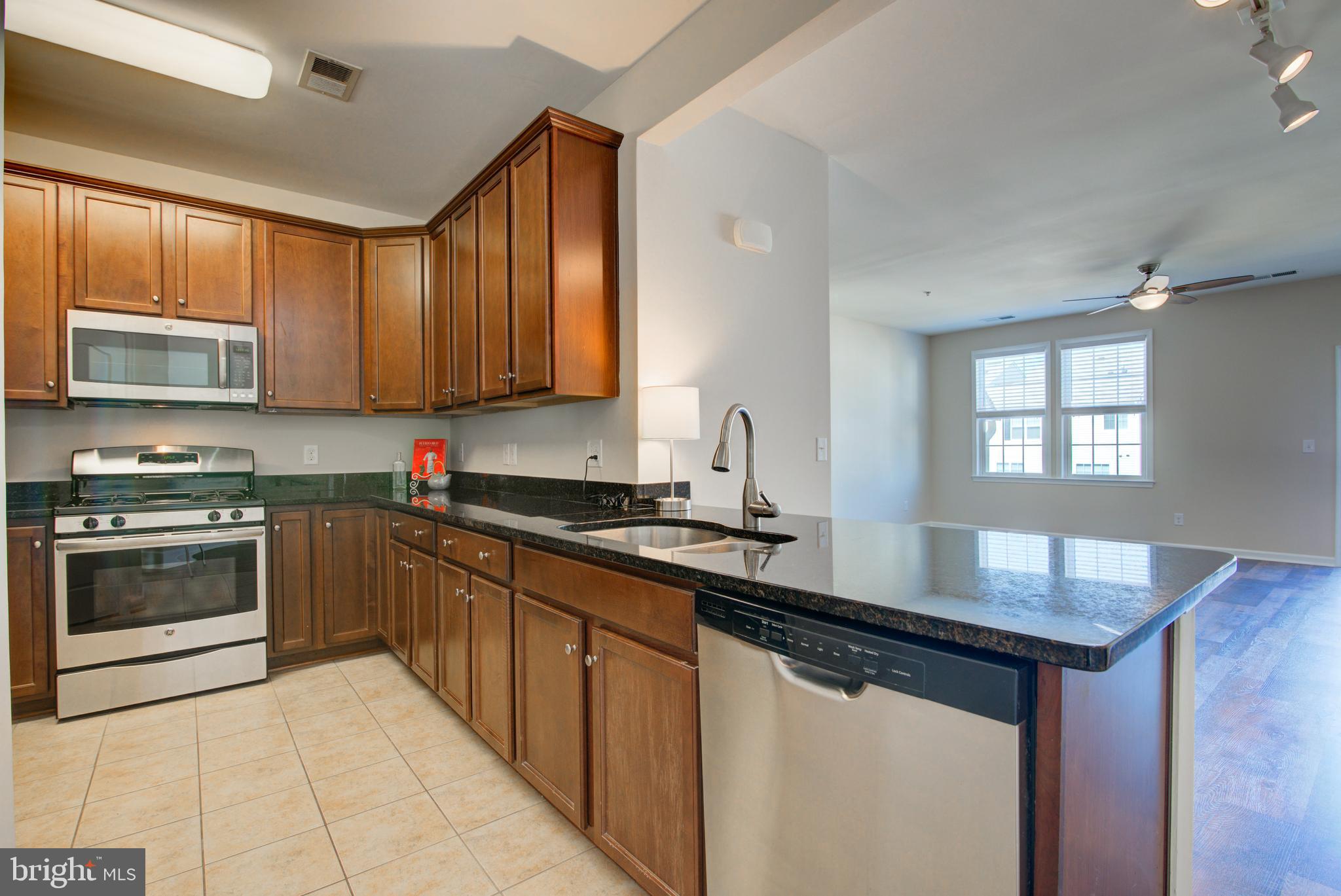 24628 BYRNE MEADOW SQUARE 300