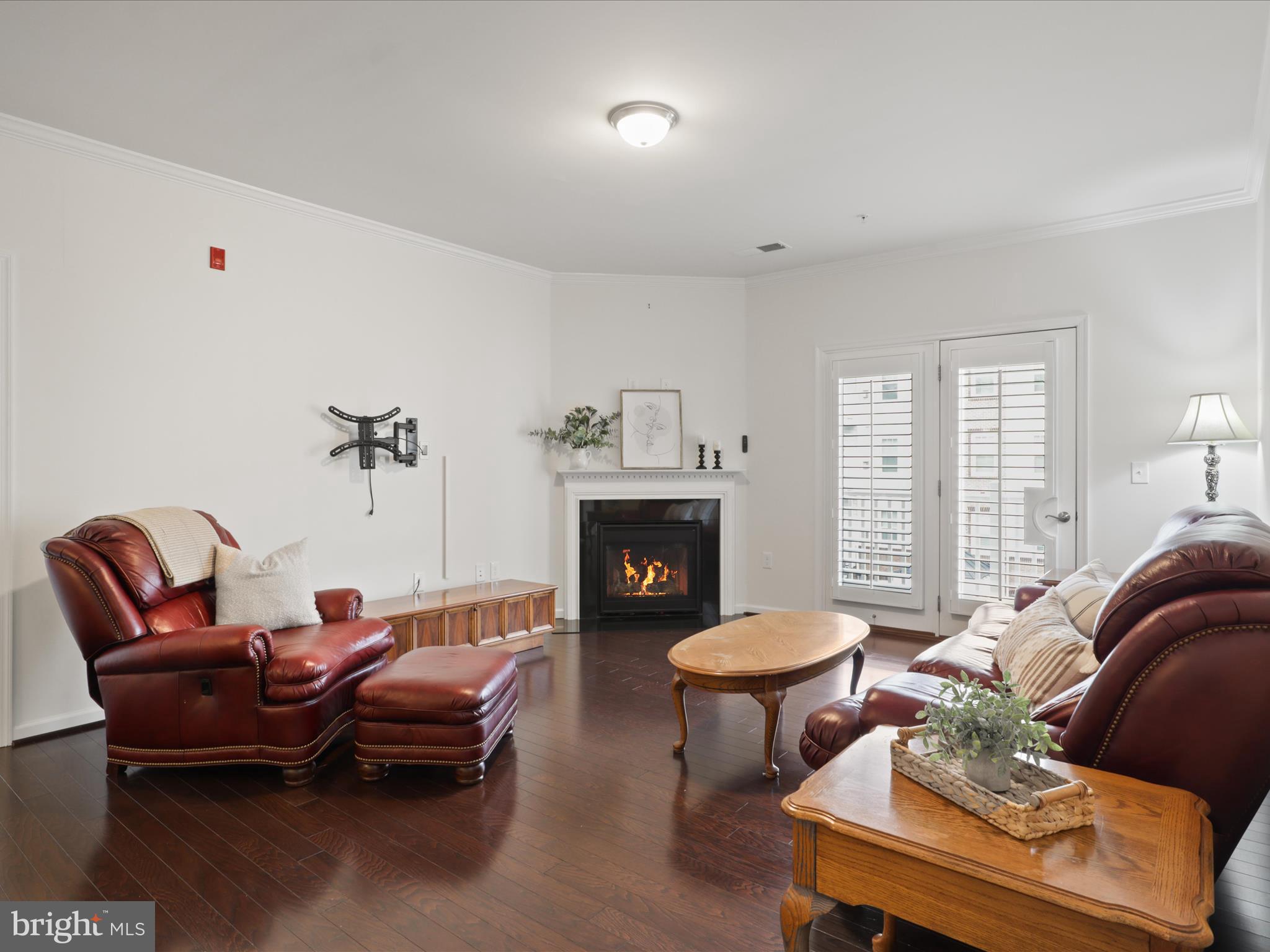 24637 WOOLLY MAMMOTH TERRACE 303