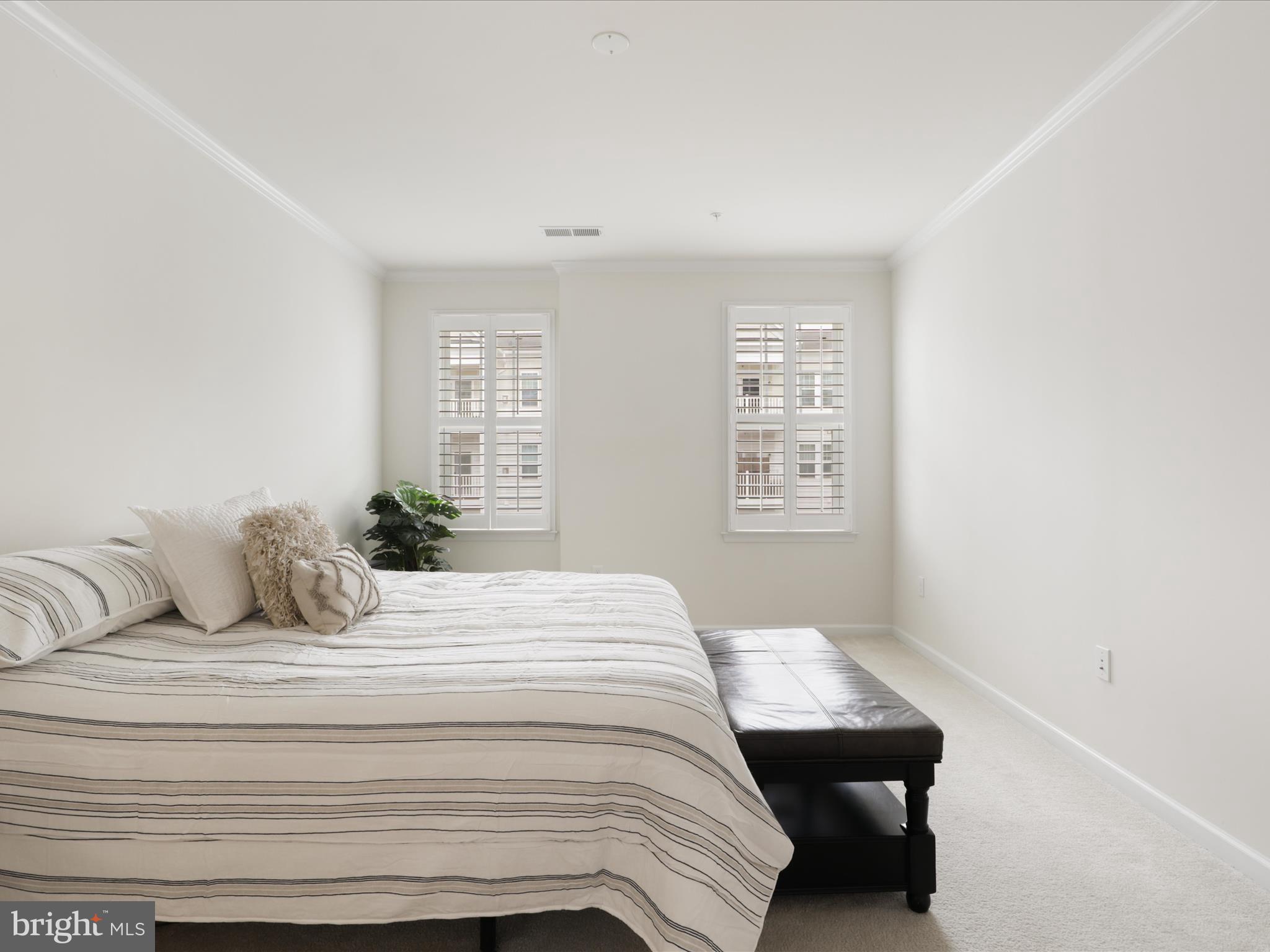 24637 WOOLLY MAMMOTH TERRACE 303