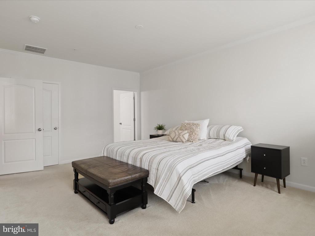 24637 WOOLLY MAMMOTH TERRACE 303