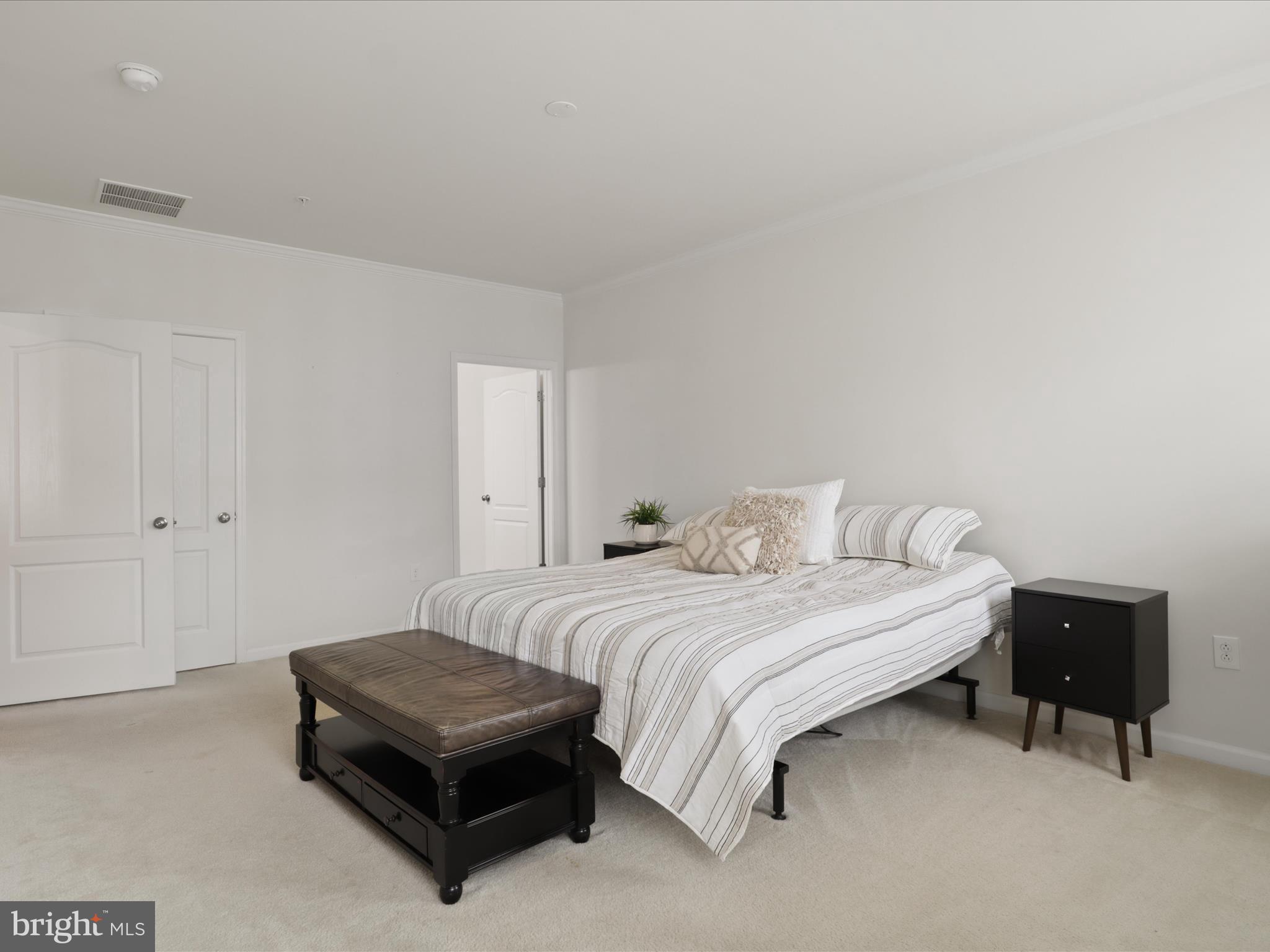 24637 WOOLLY MAMMOTH TERRACE 303