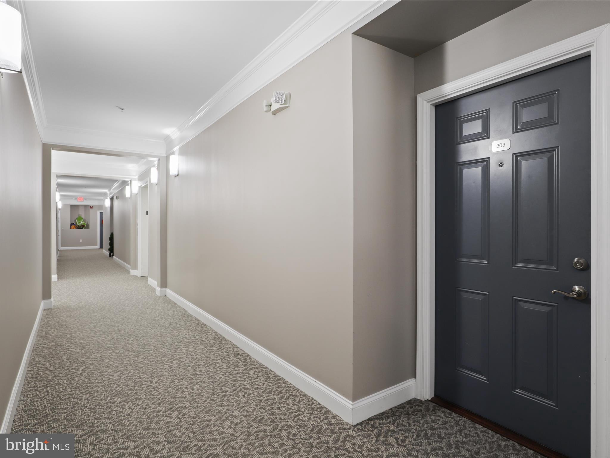 24637 WOOLLY MAMMOTH TERRACE 303