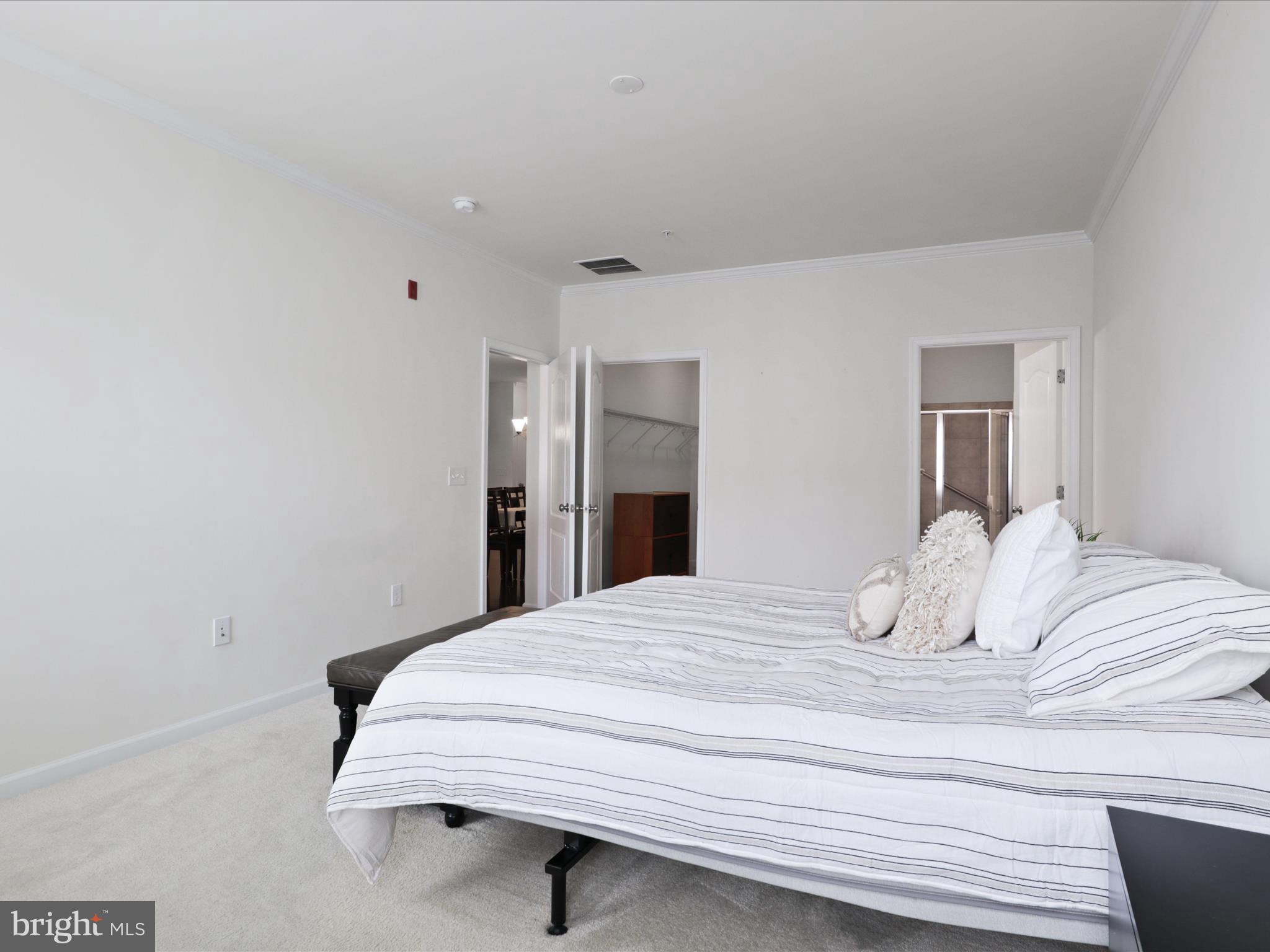 24637 WOOLLY MAMMOTH TERRACE 303