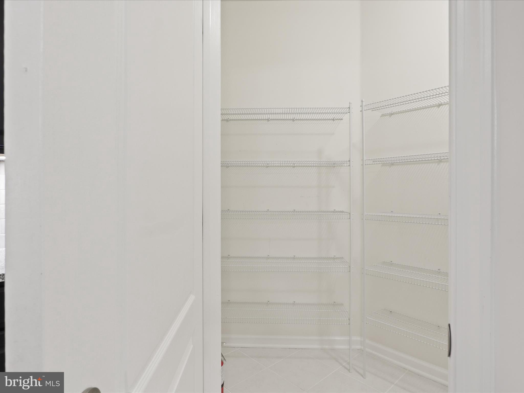 24637 WOOLLY MAMMOTH TERRACE 303