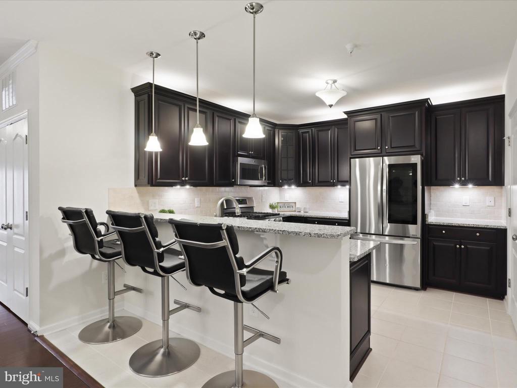 24637 WOOLLY MAMMOTH TERRACE 303