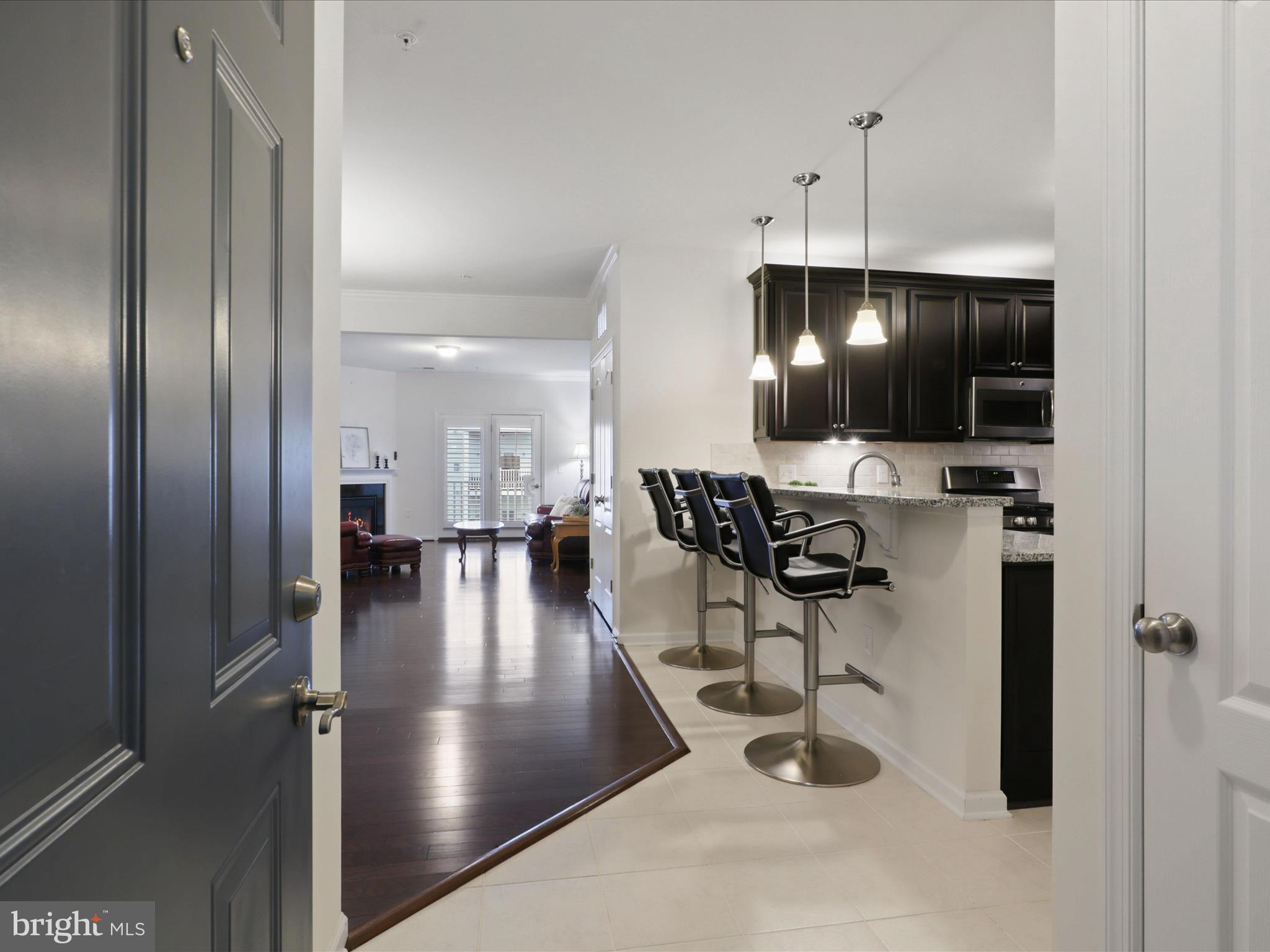 24637 WOOLLY MAMMOTH TERRACE 303