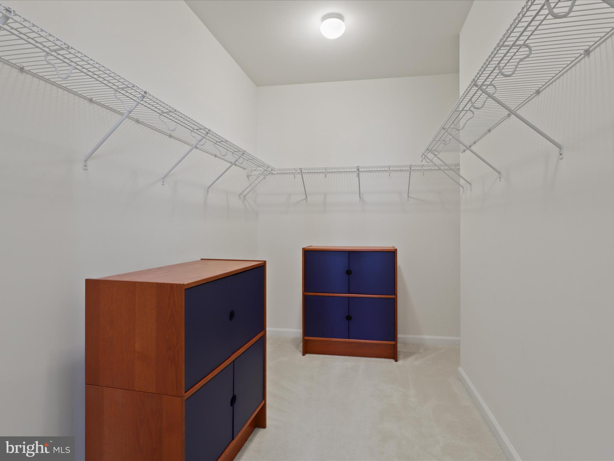 24637 WOOLLY MAMMOTH TERRACE 303