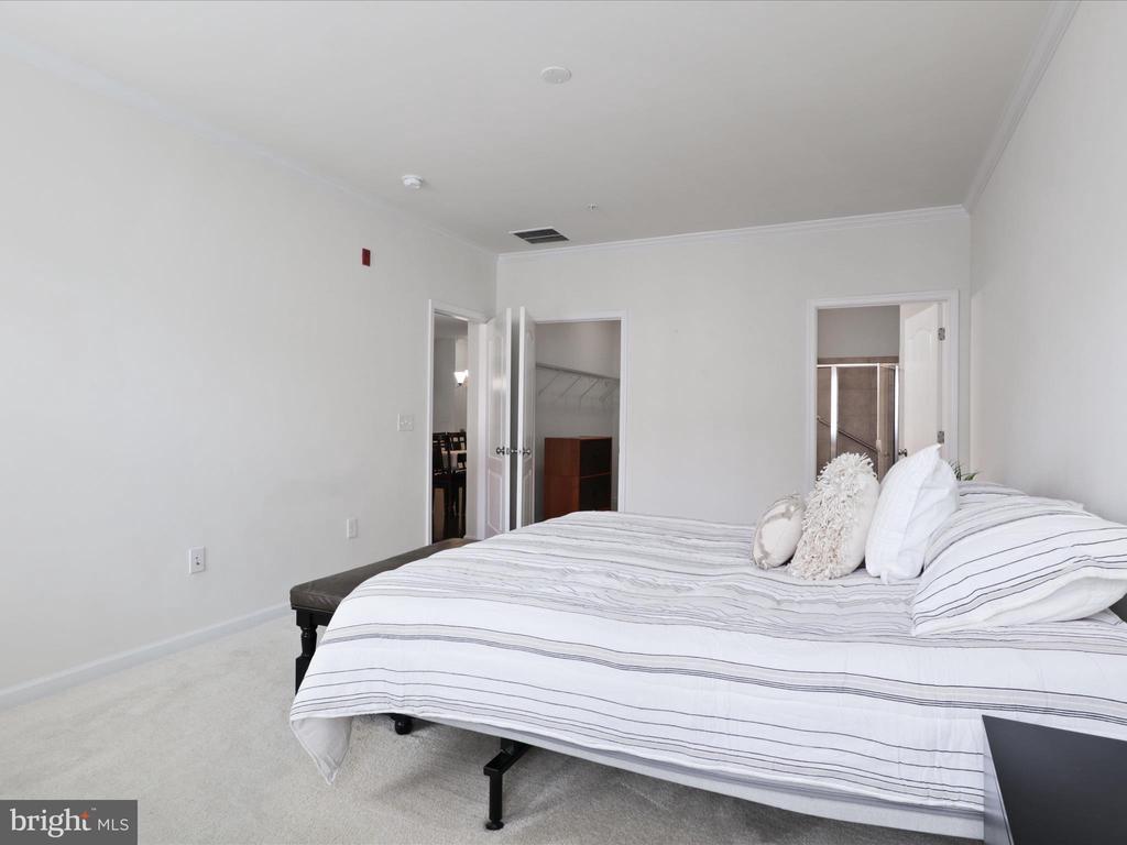 24637 WOOLLY MAMMOTH TERRACE 303
