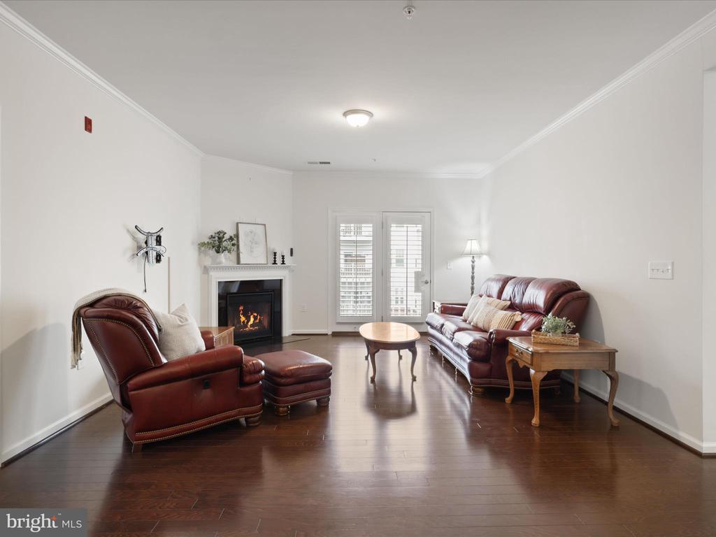 24637 WOOLLY MAMMOTH TERRACE 303