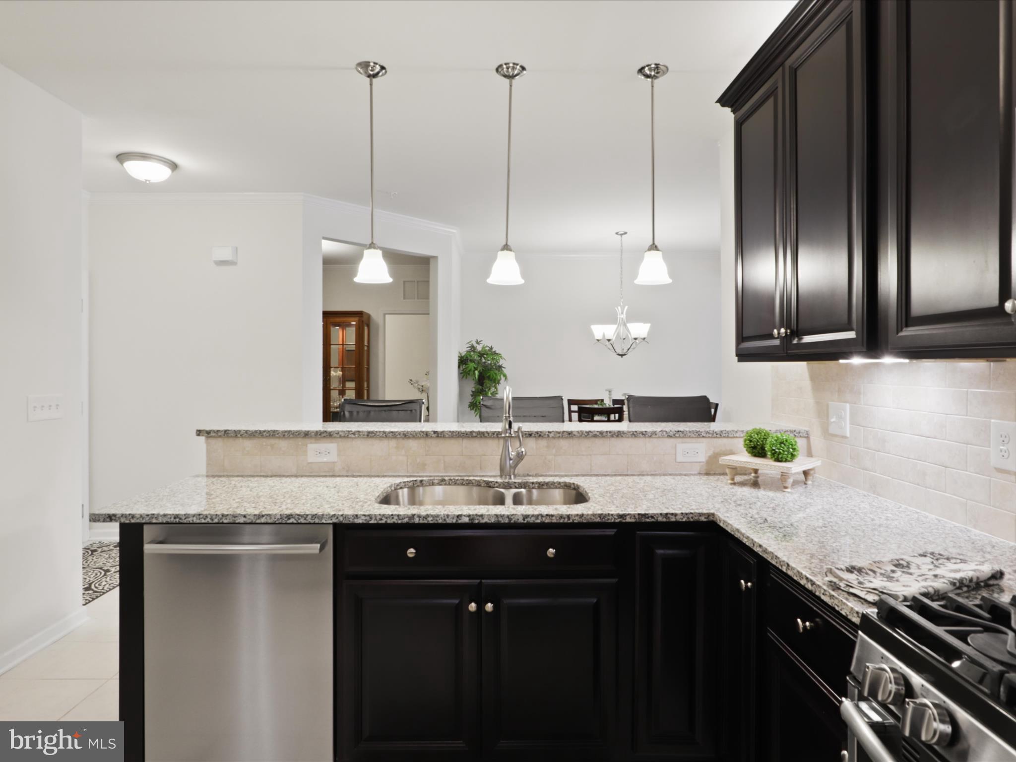 24637 WOOLLY MAMMOTH TERRACE 303