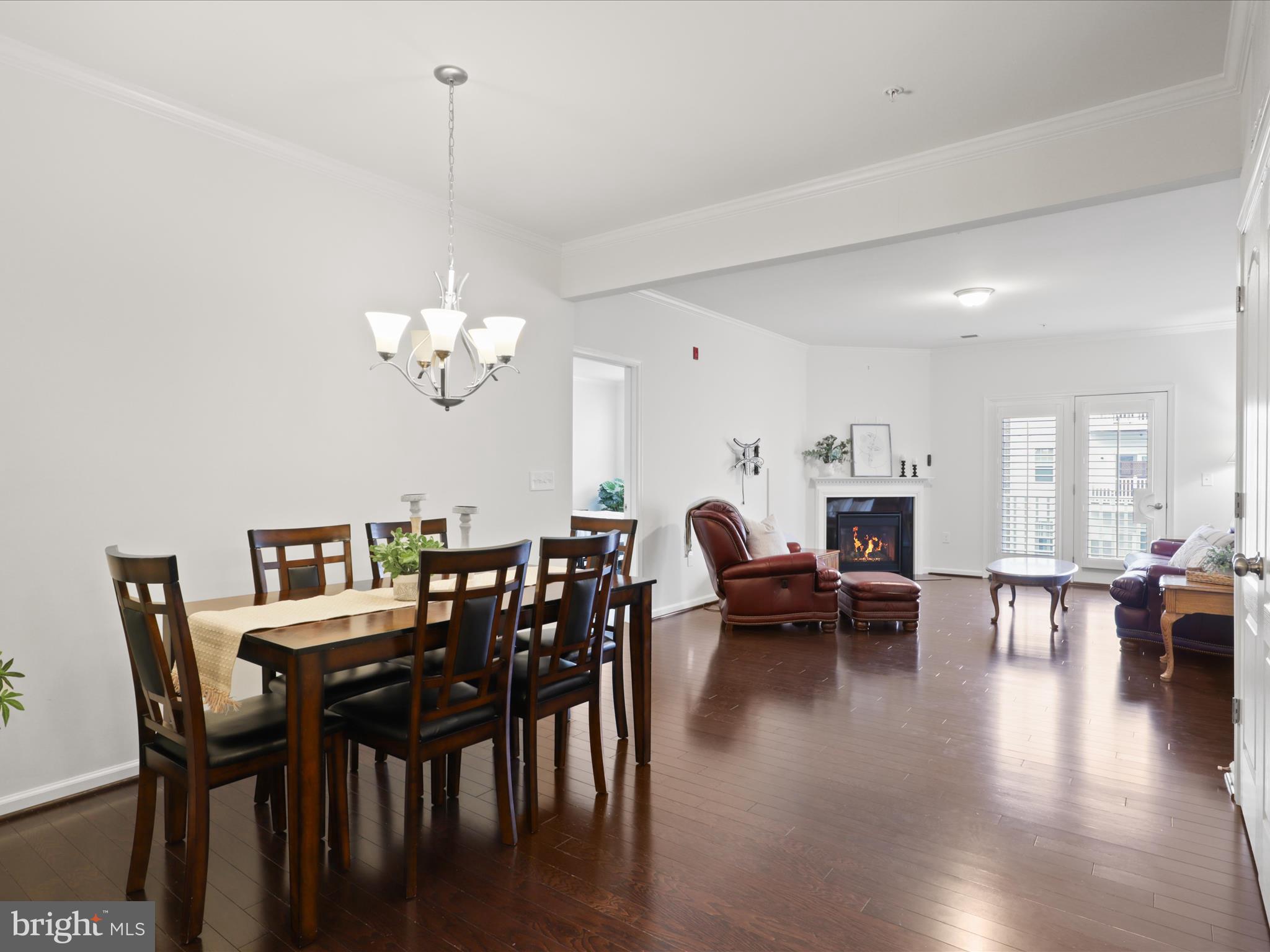 24637 WOOLLY MAMMOTH TERRACE 303