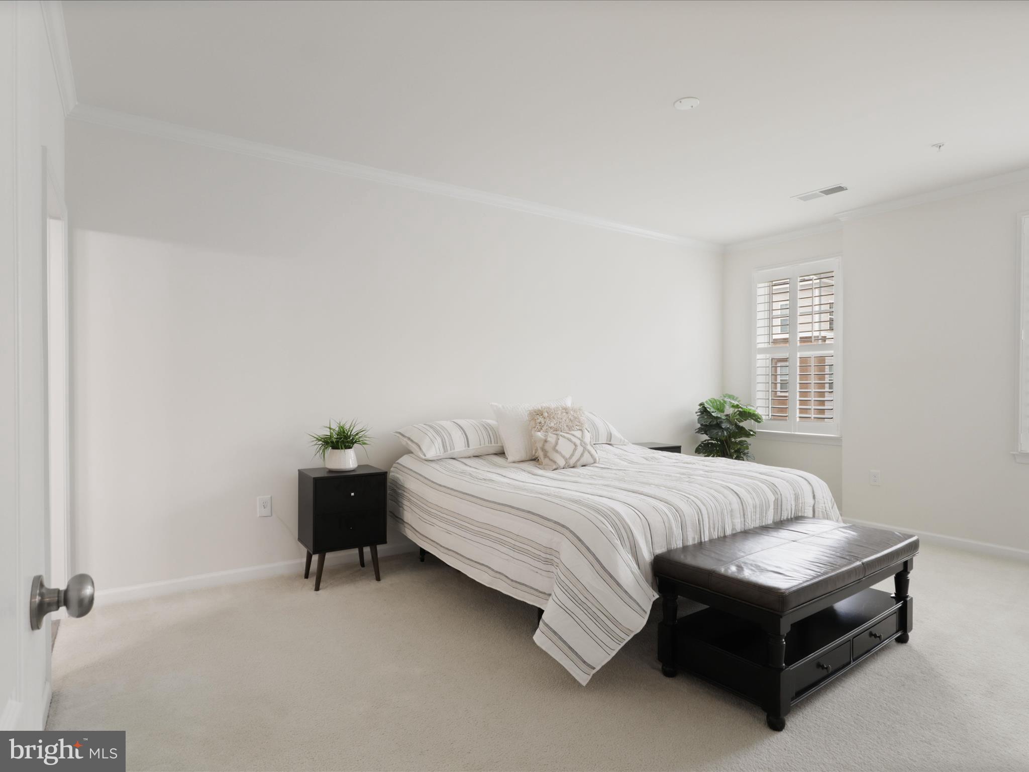 24637 WOOLLY MAMMOTH TERRACE 303