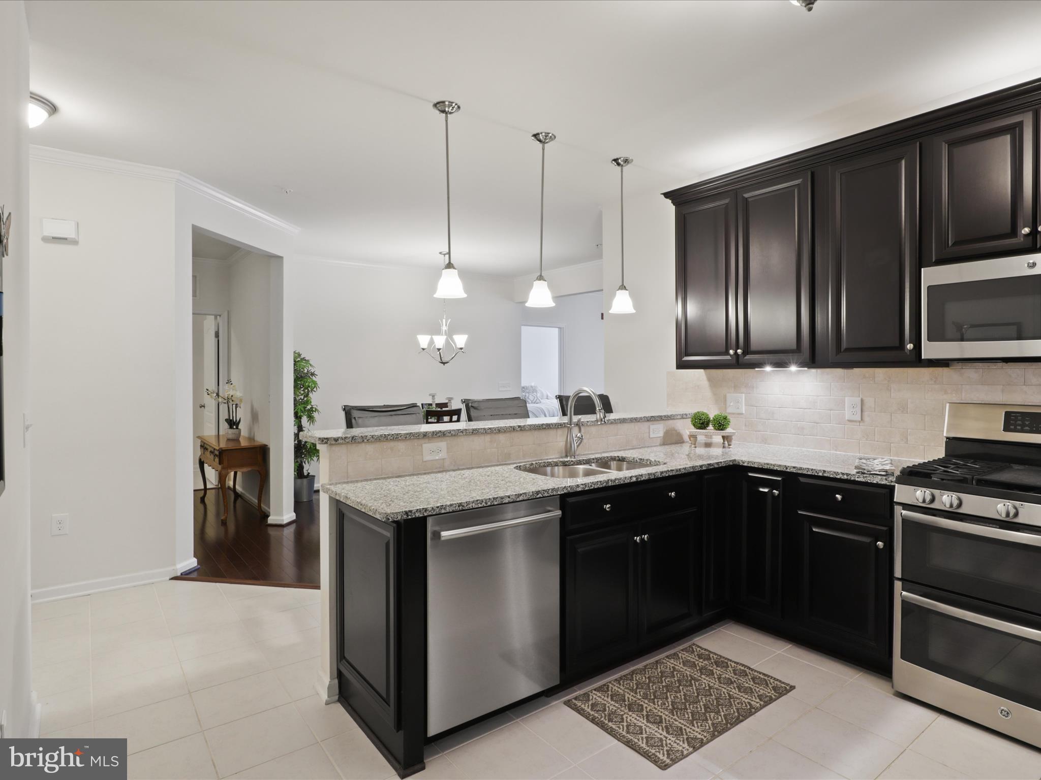 24637 WOOLLY MAMMOTH TERRACE 303