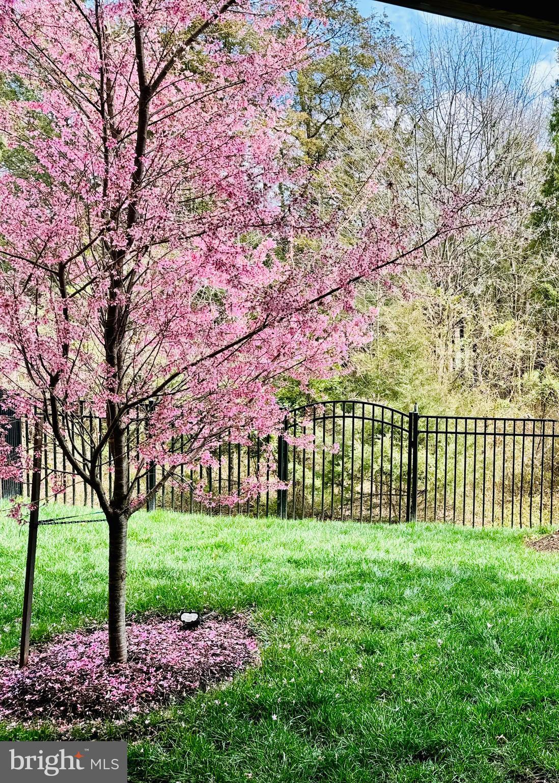 23056 SULLIVANS COVE SQUARE