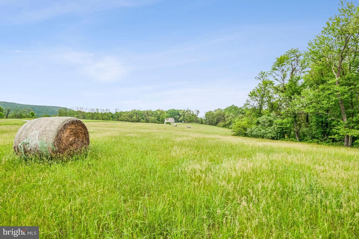 14607 SUMMIT VIEW LANE