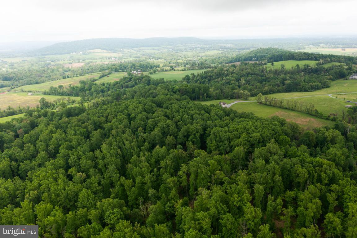 14607 SUMMIT VIEW LANE