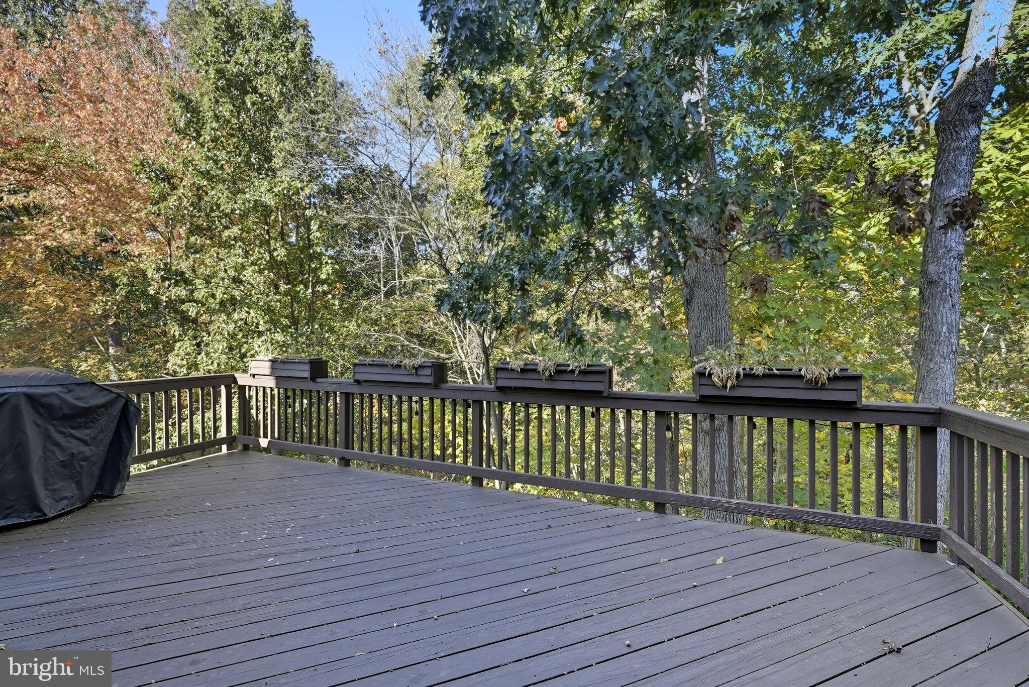 20711 WATERFALL BRANCH TERRACE