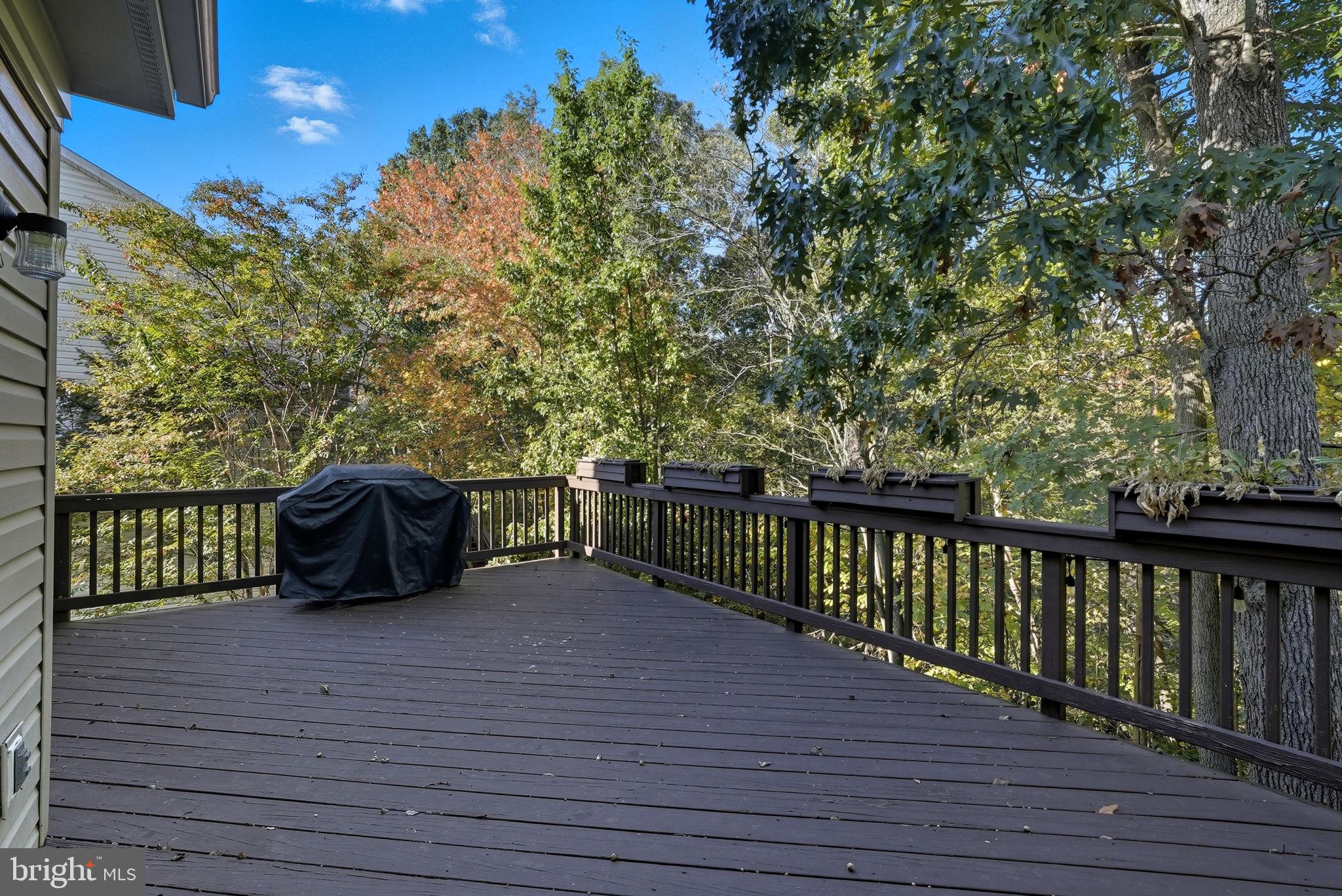 20711 WATERFALL BRANCH TERRACE