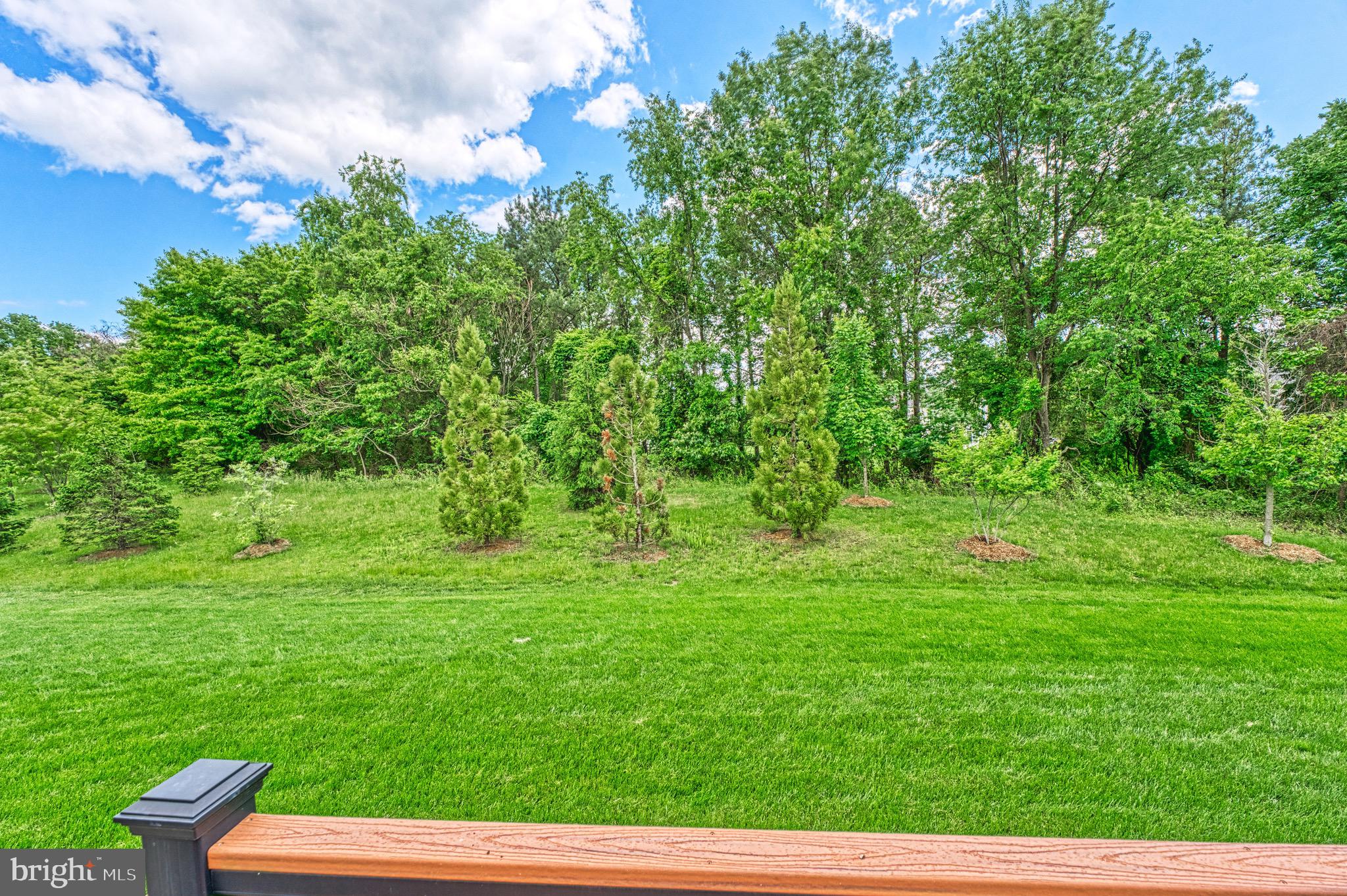 23985 TENBURY WELLS PLACE