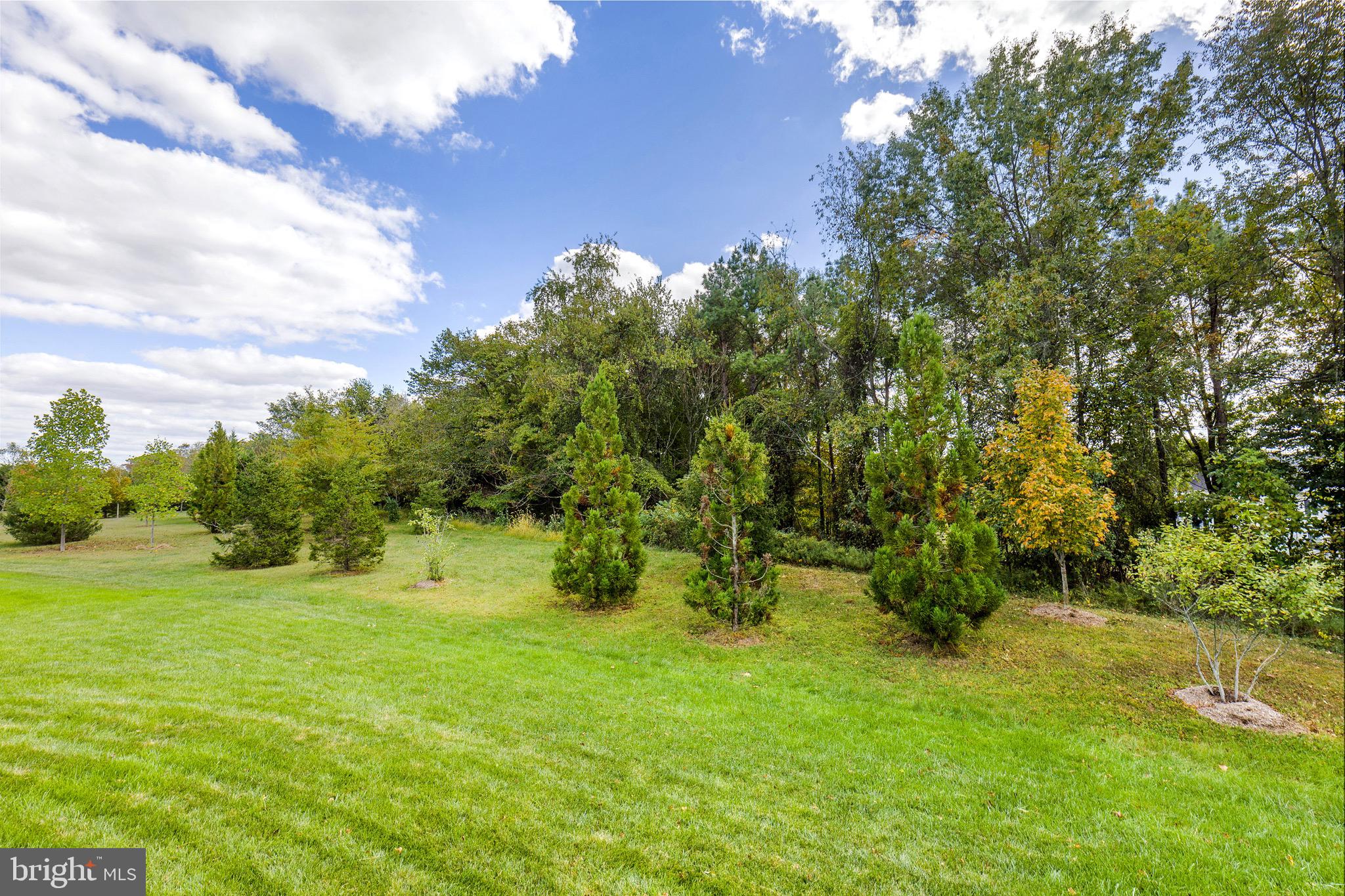 23985 TENBURY WELLS PLACE