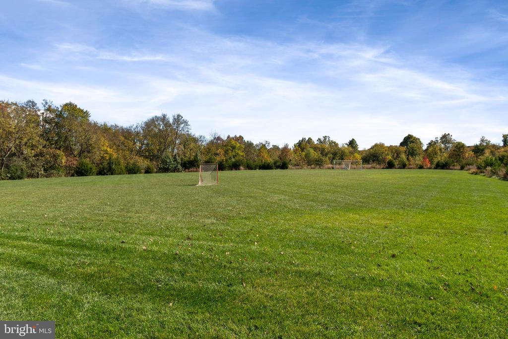 20287 SAVIN HILL DRIVE