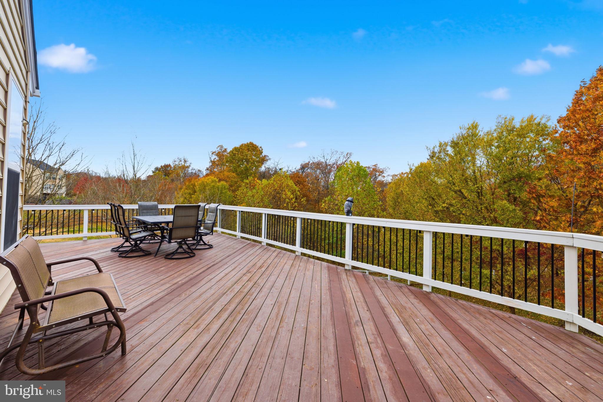 43080 LITTLE ANGEL COURT