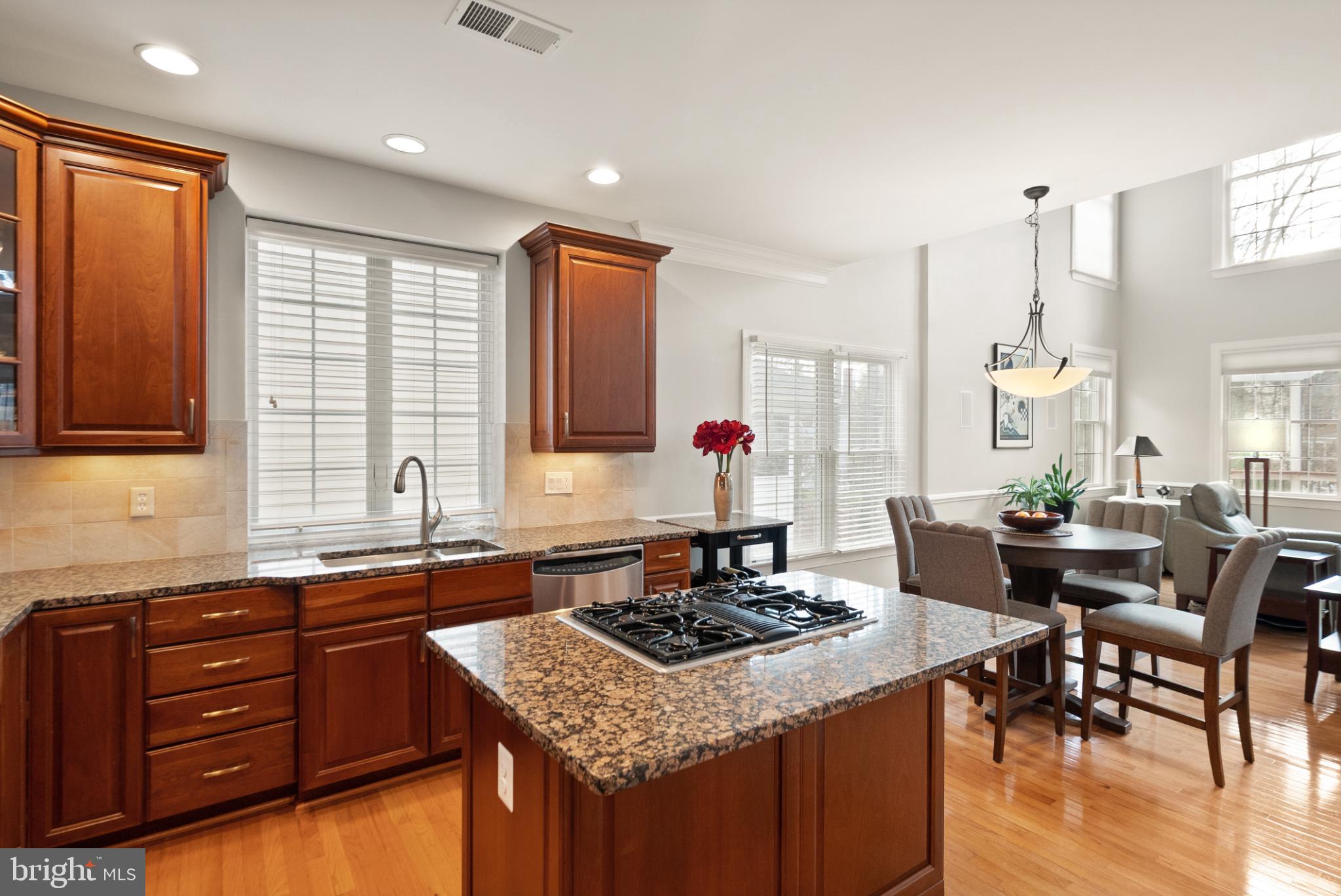 20116 WHISTLING STRAITS PLACE