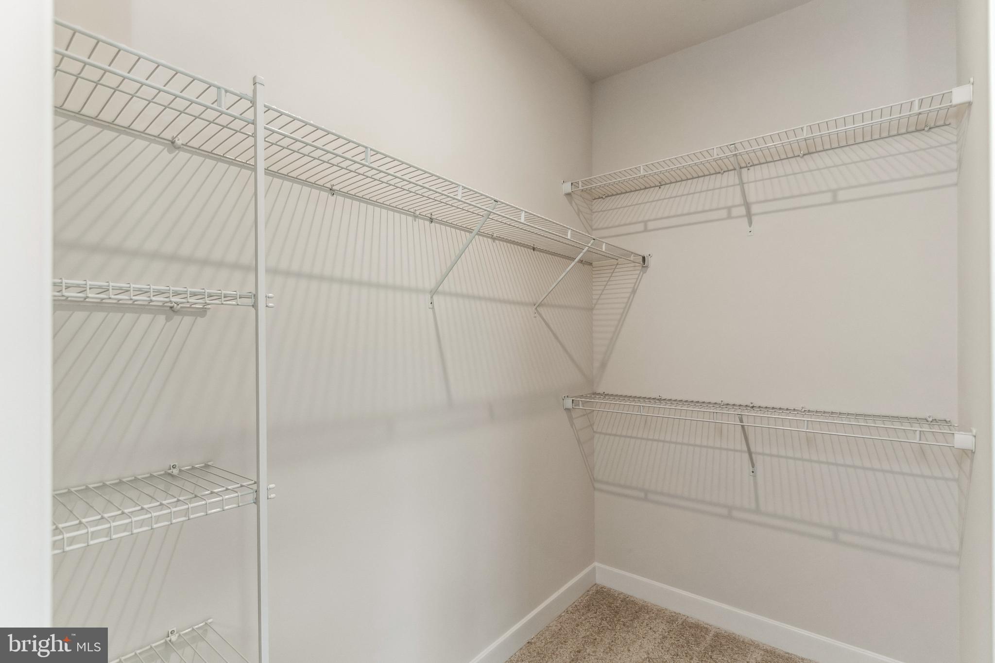 42564 ANTONIA TERRACE