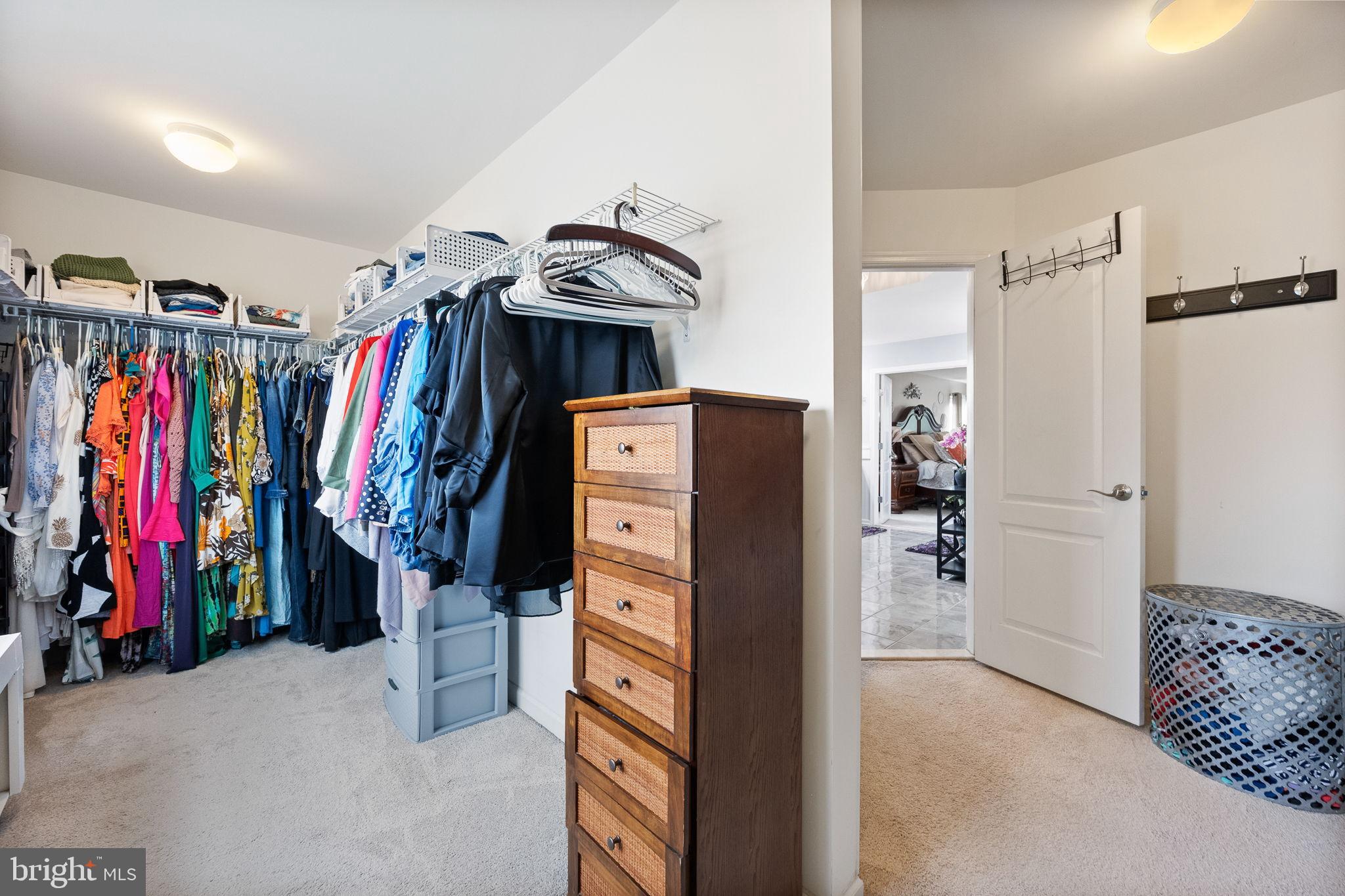 24469 ISLAND POOL COURT