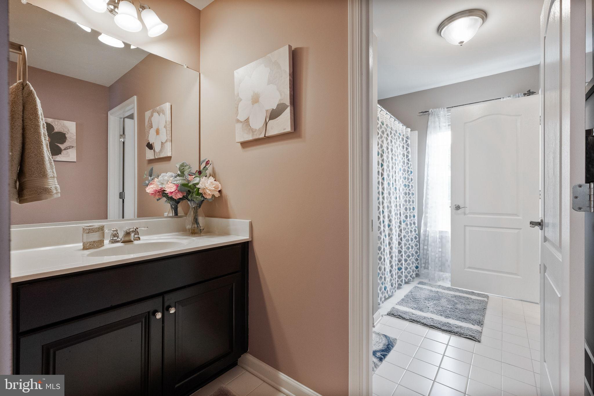 24469 ISLAND POOL COURT