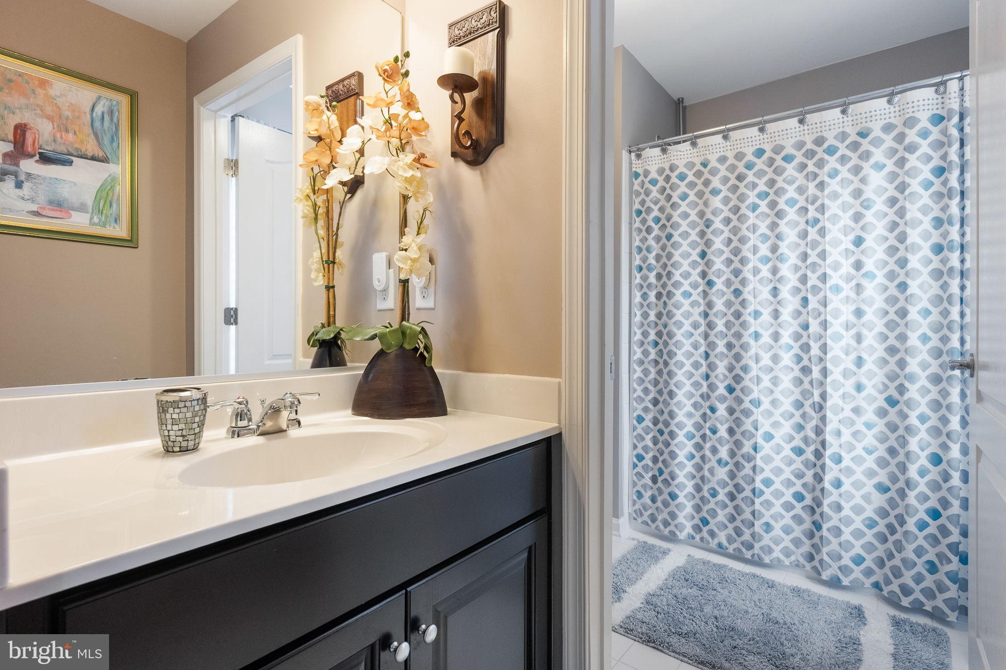 24469 ISLAND POOL COURT