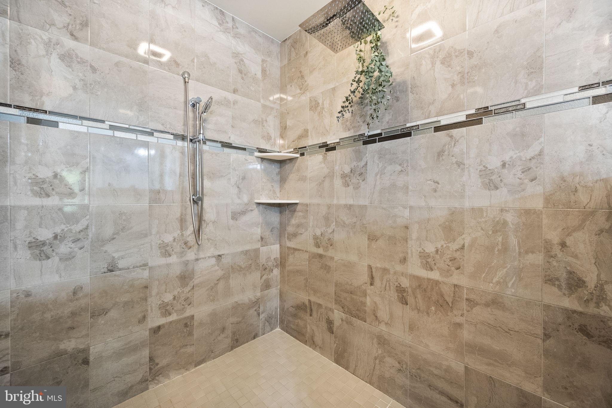 24469 ISLAND POOL COURT