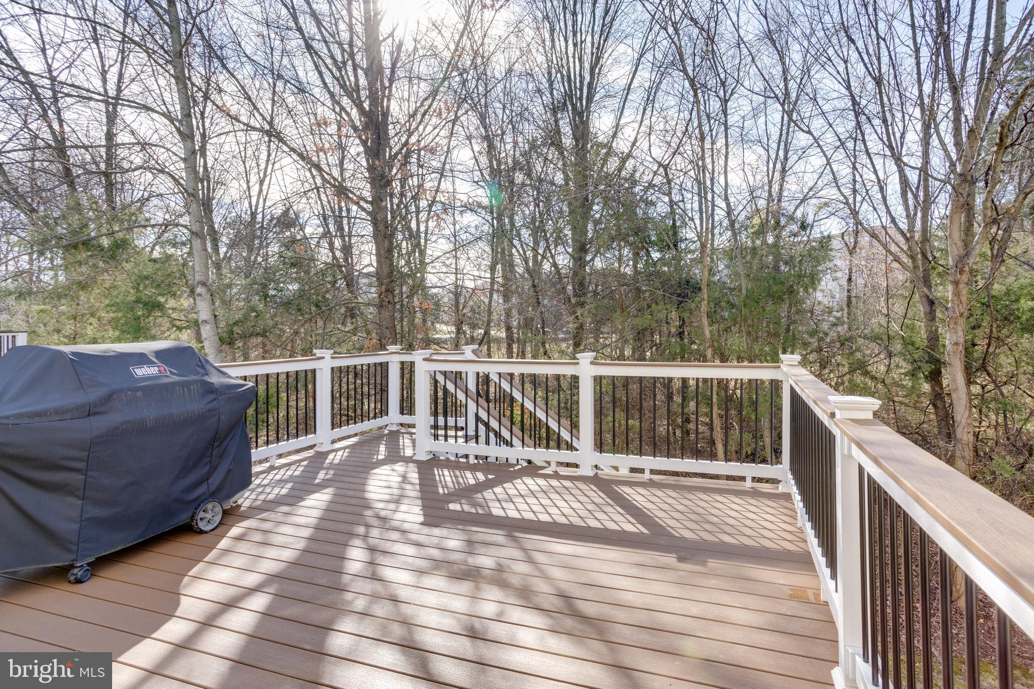 23428 MORNING WALK DRIVE