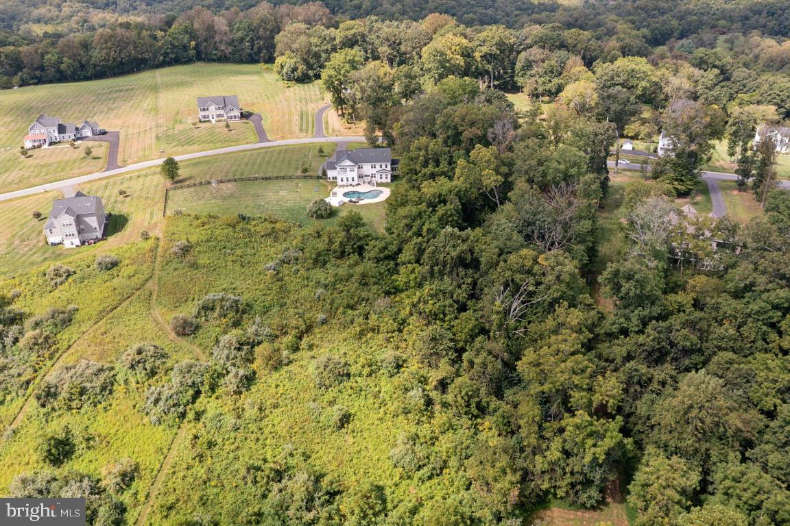 14132 AMYS MEADOW COURT