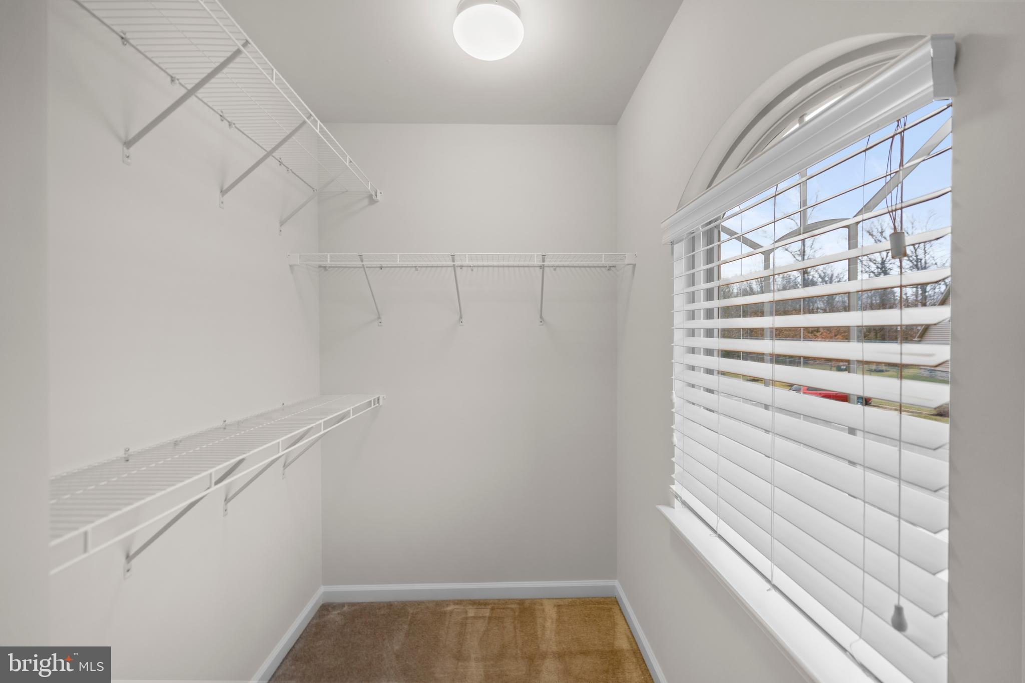 24839 CULBERTSON TERRACE