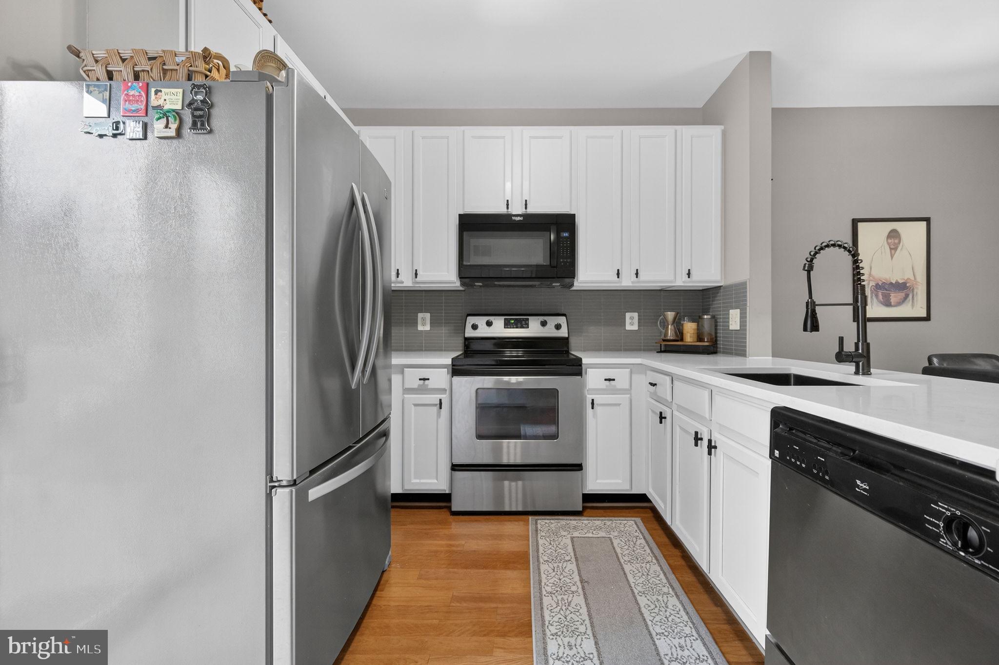 22555 BLUE ELDER TERRACE