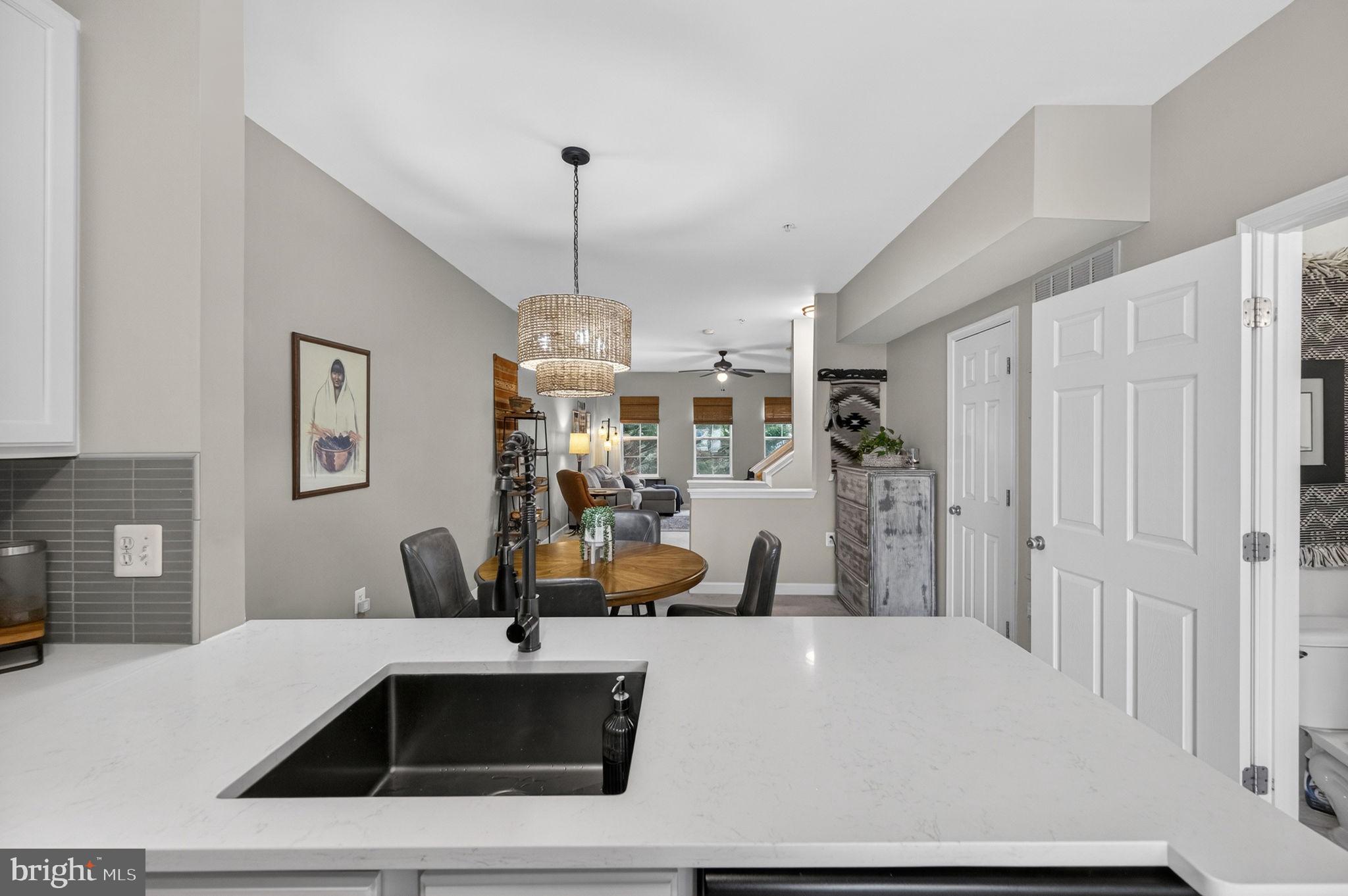 22555 BLUE ELDER TERRACE