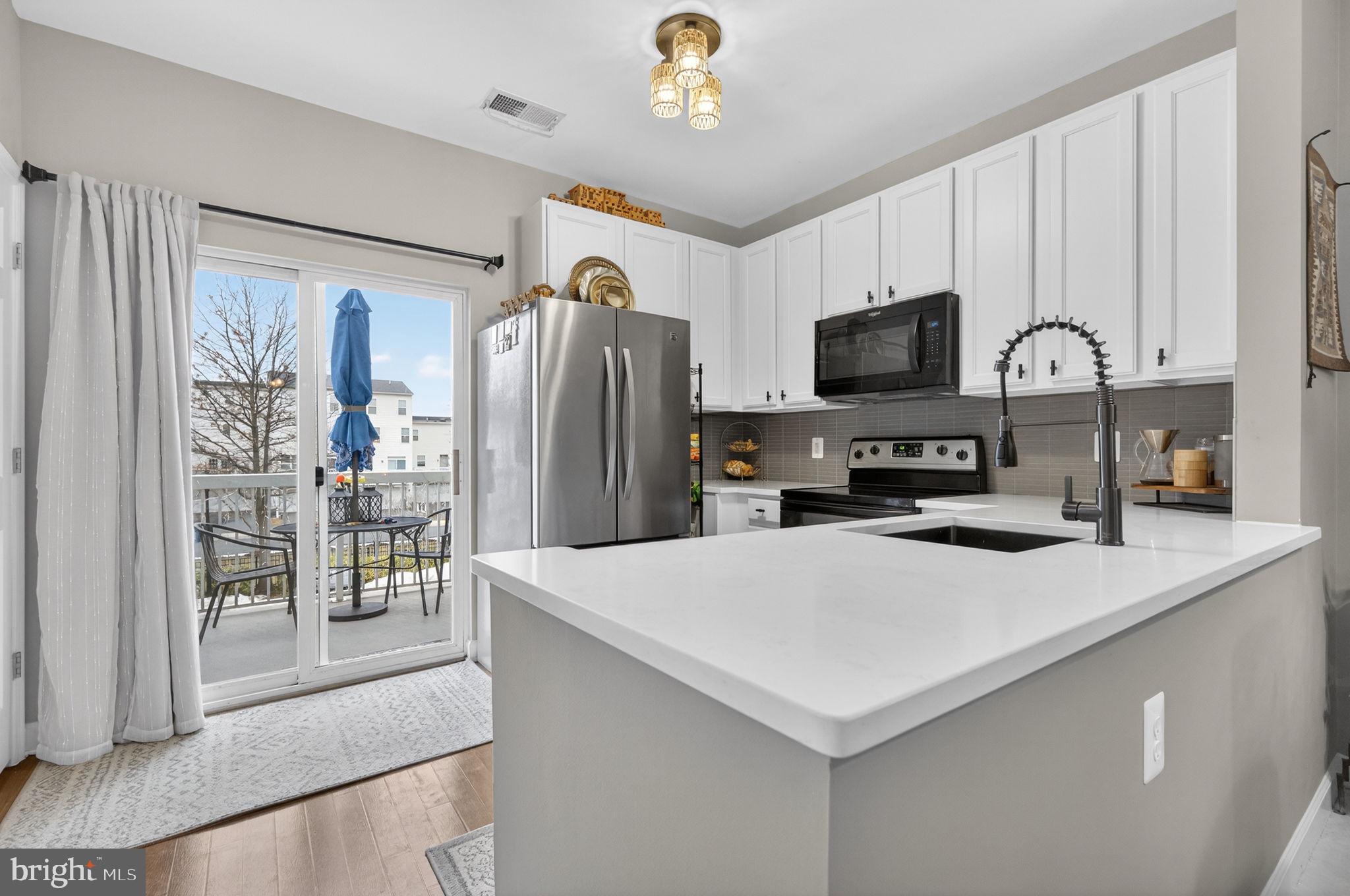 22555 BLUE ELDER TERRACE