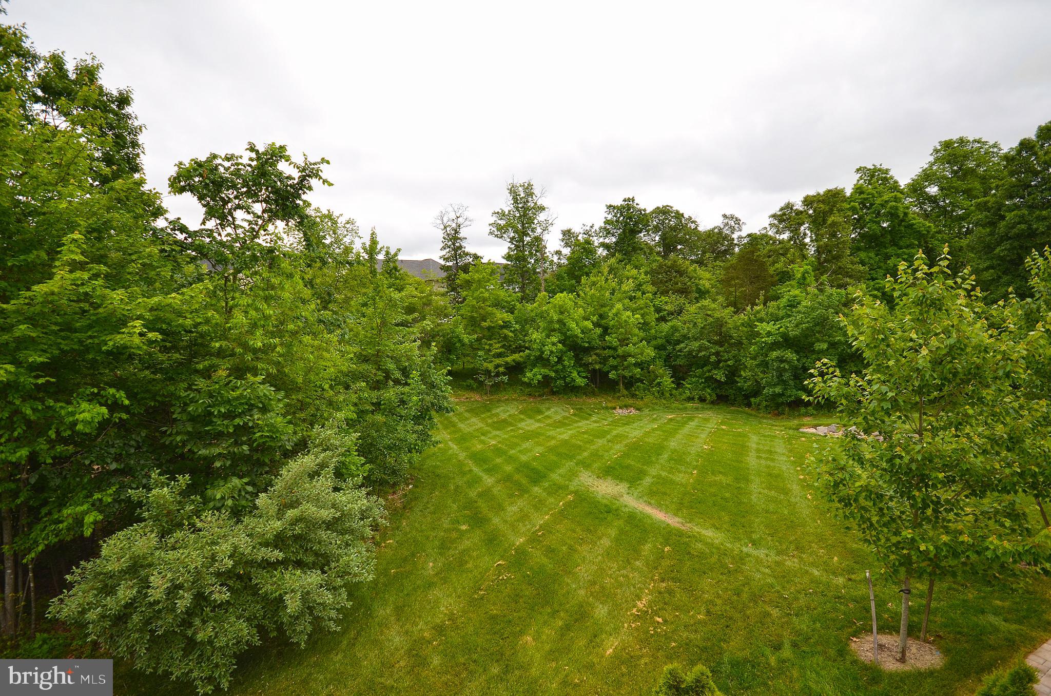 43291 MITCHAM SQUARE