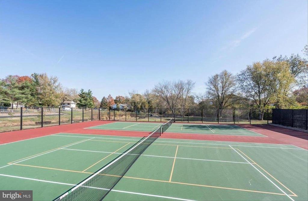 204 PIN OAK COURT