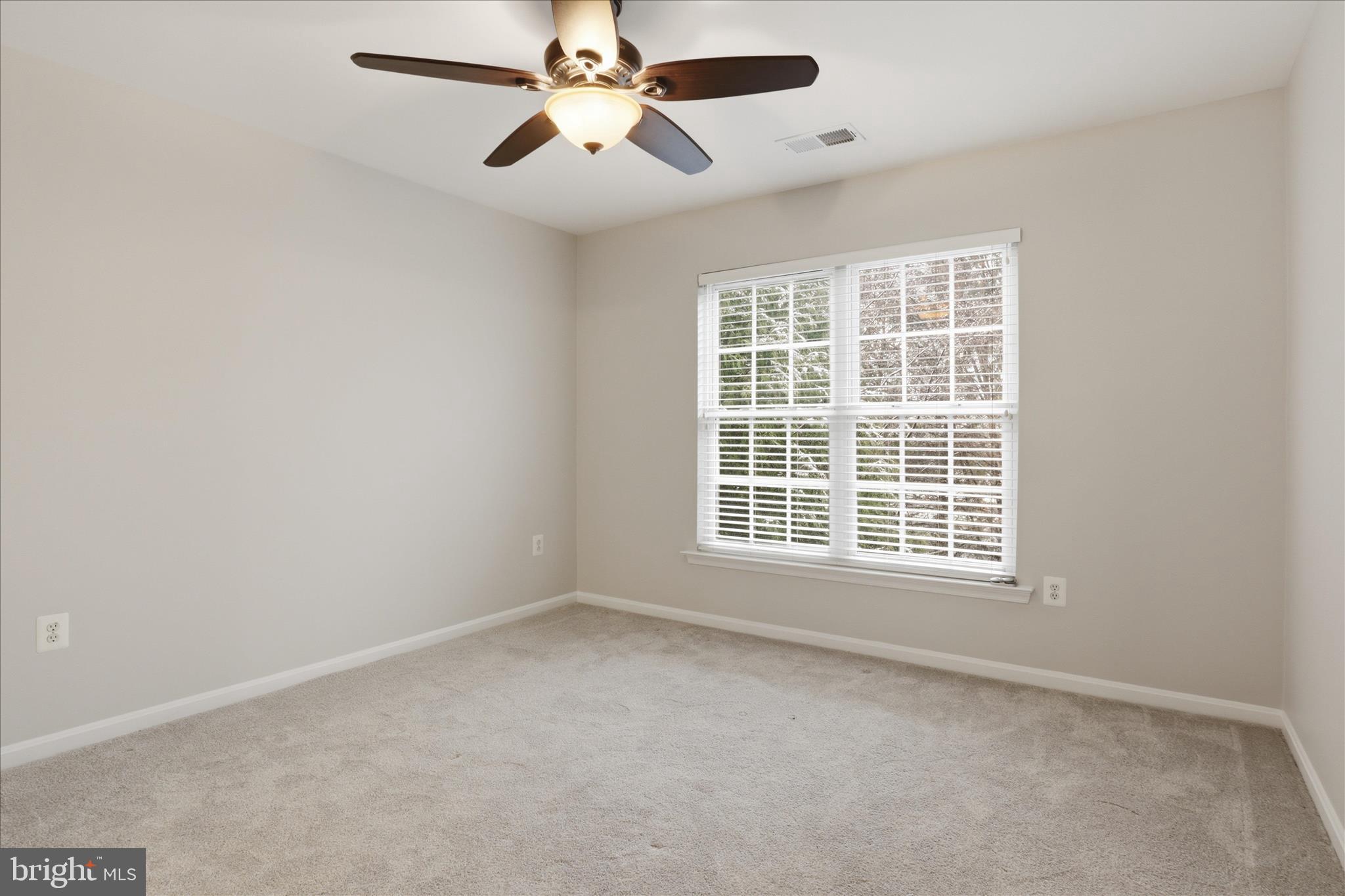 42094 FIDDLEHEAD PLACE