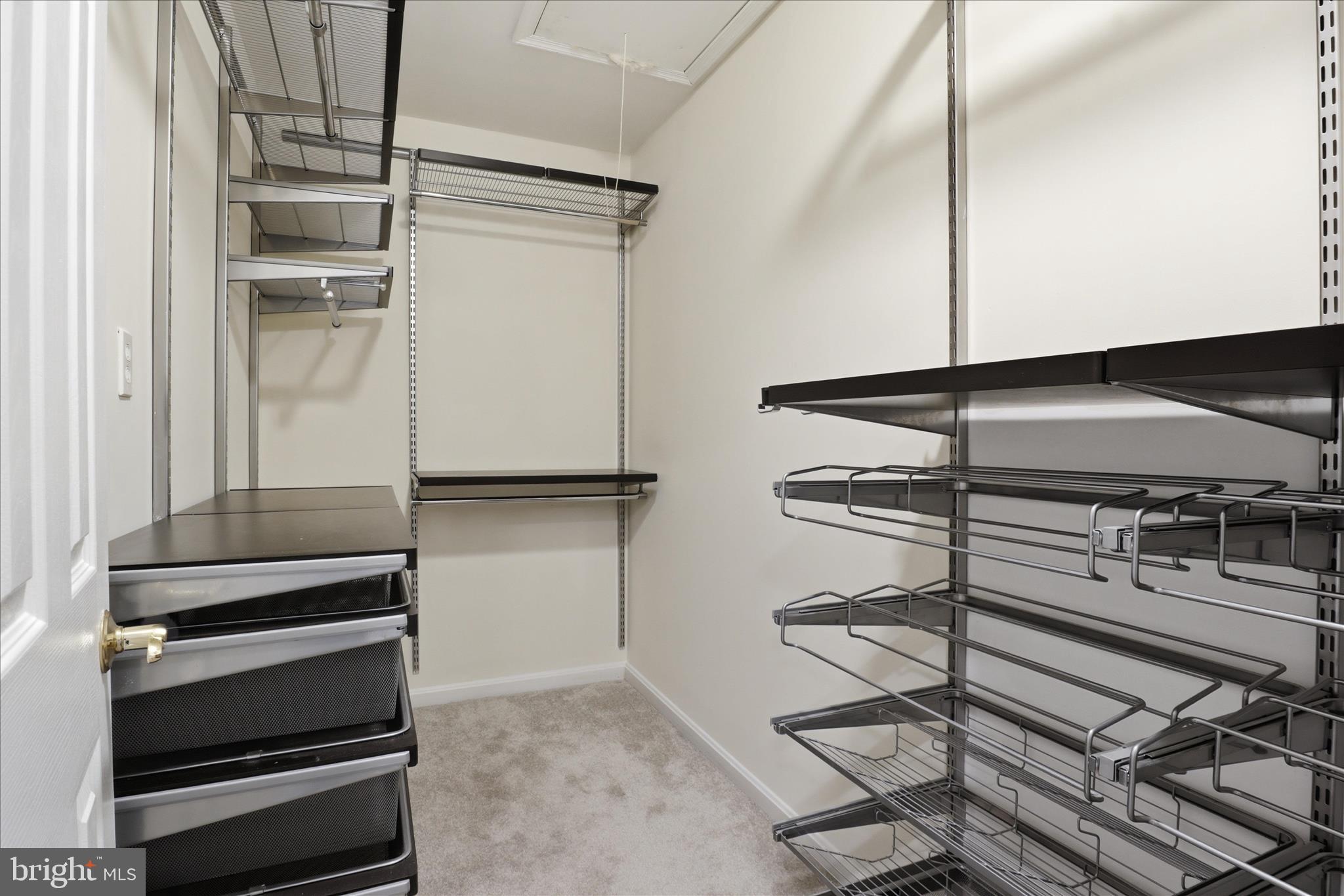 42094 FIDDLEHEAD PLACE