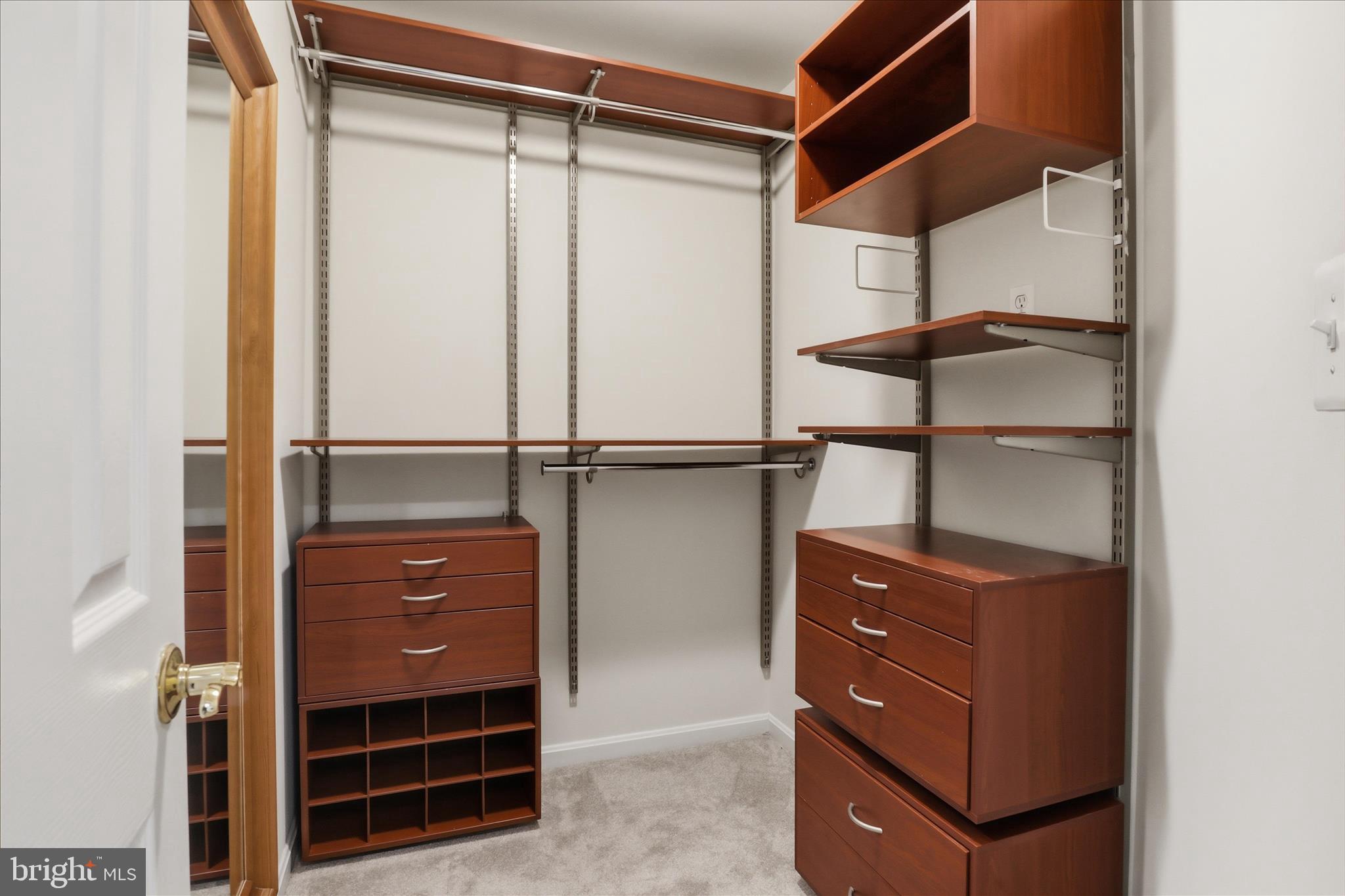 42094 FIDDLEHEAD PLACE