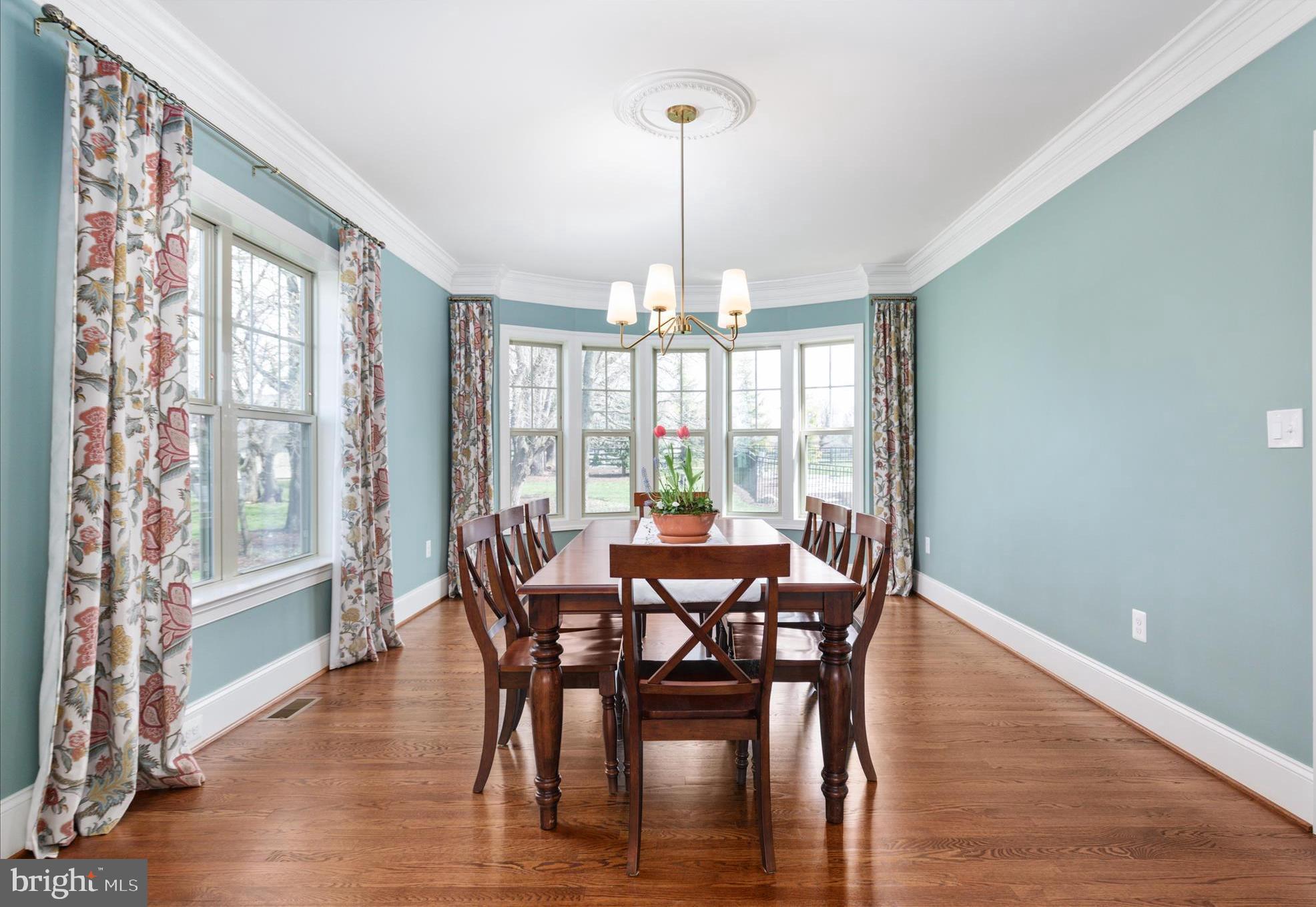 17330 HARMONY VISTA DRIVE