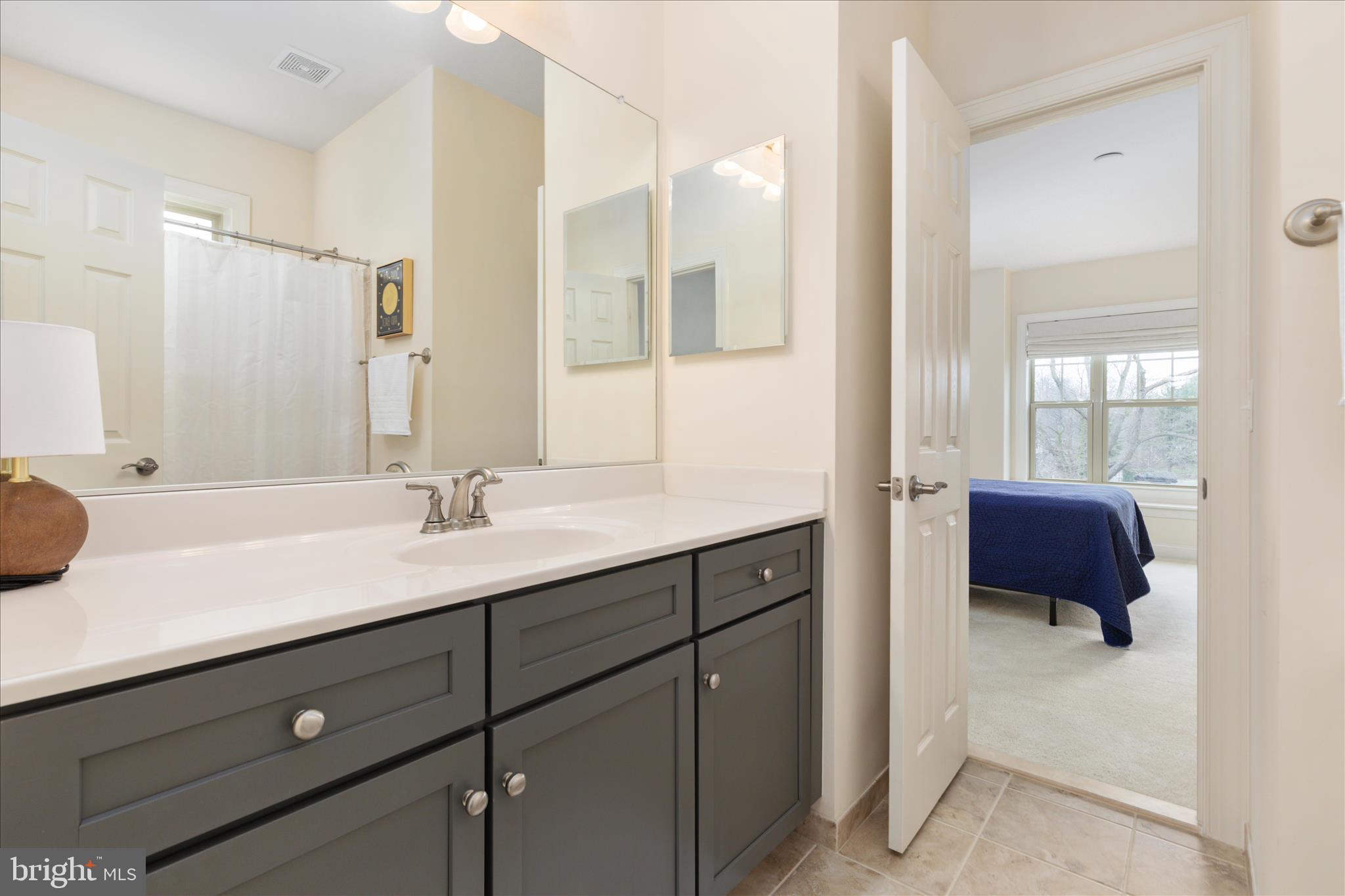 17330 HARMONY VISTA DRIVE