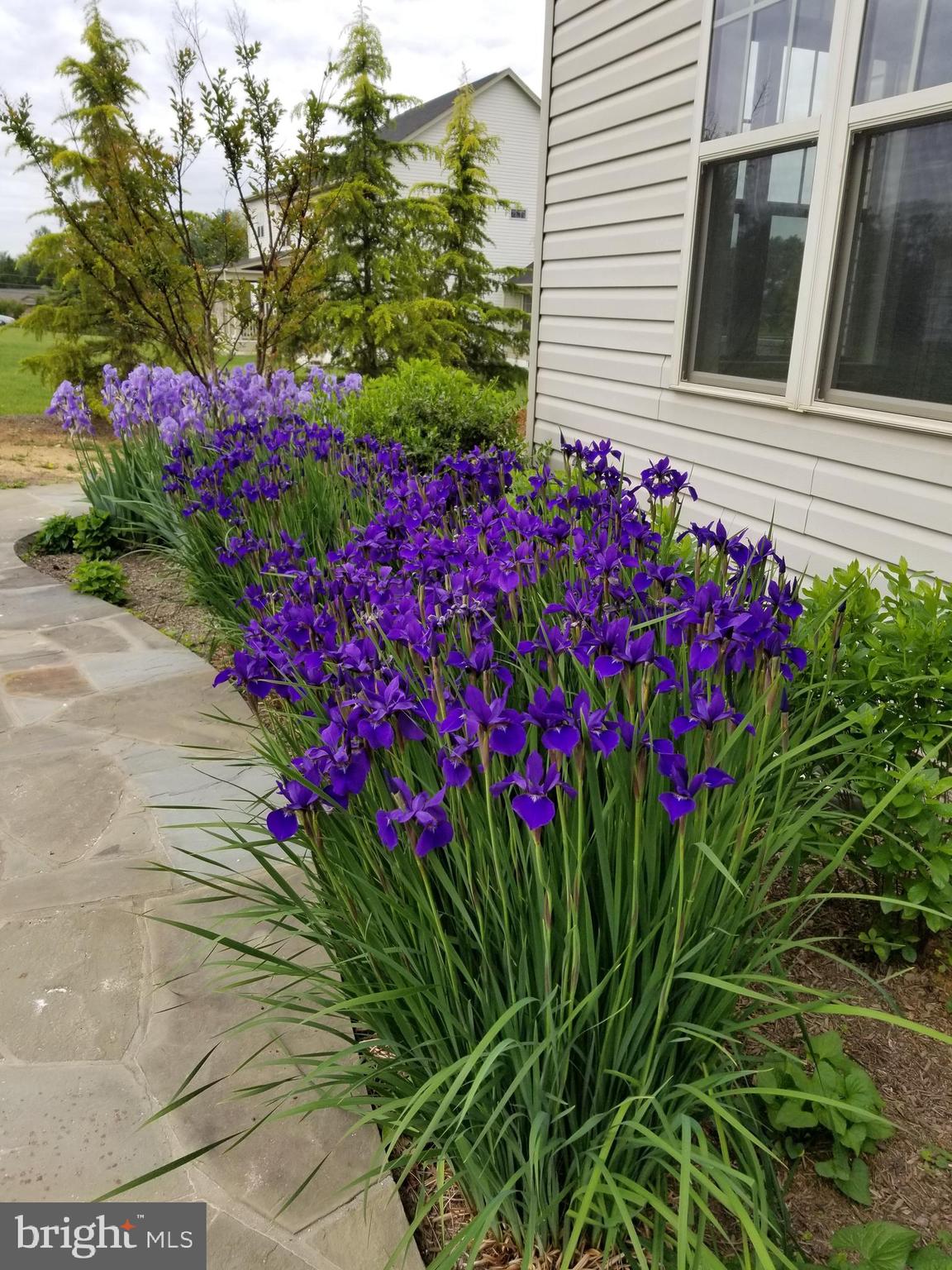 17330 HARMONY VISTA DRIVE