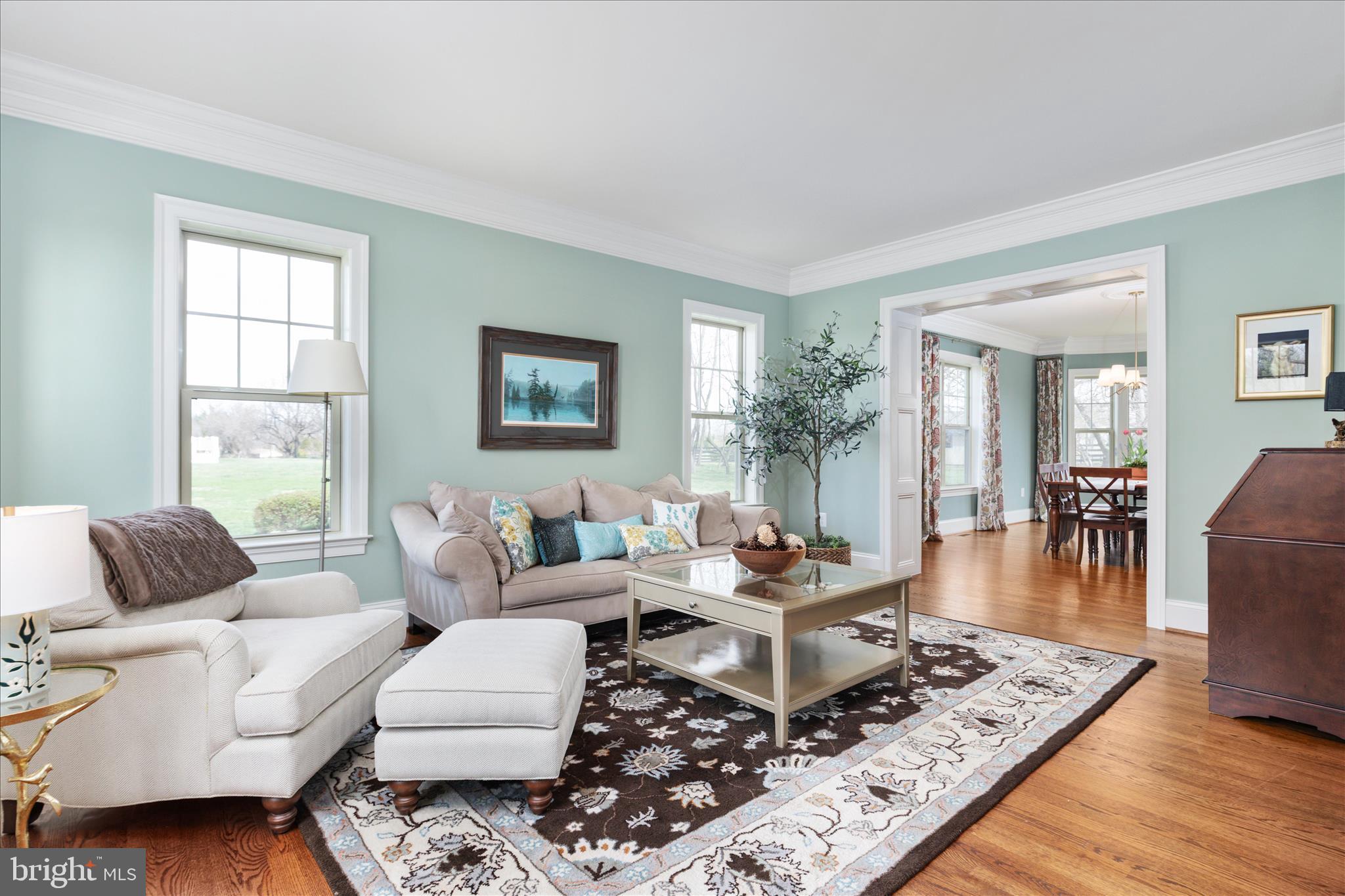 17330 HARMONY VISTA DRIVE