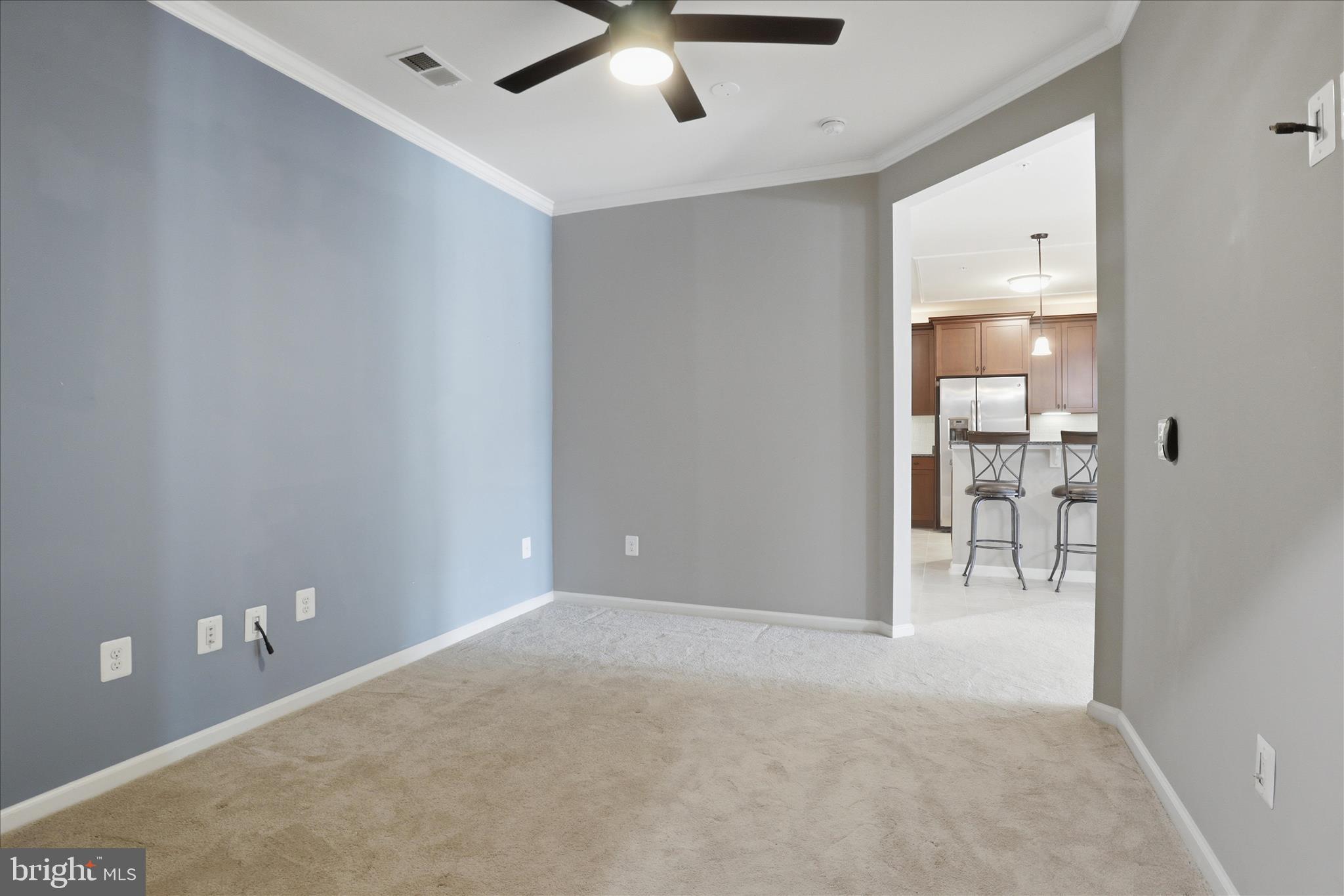 24636 WOOLLY MAMMOTH TERRACE 202