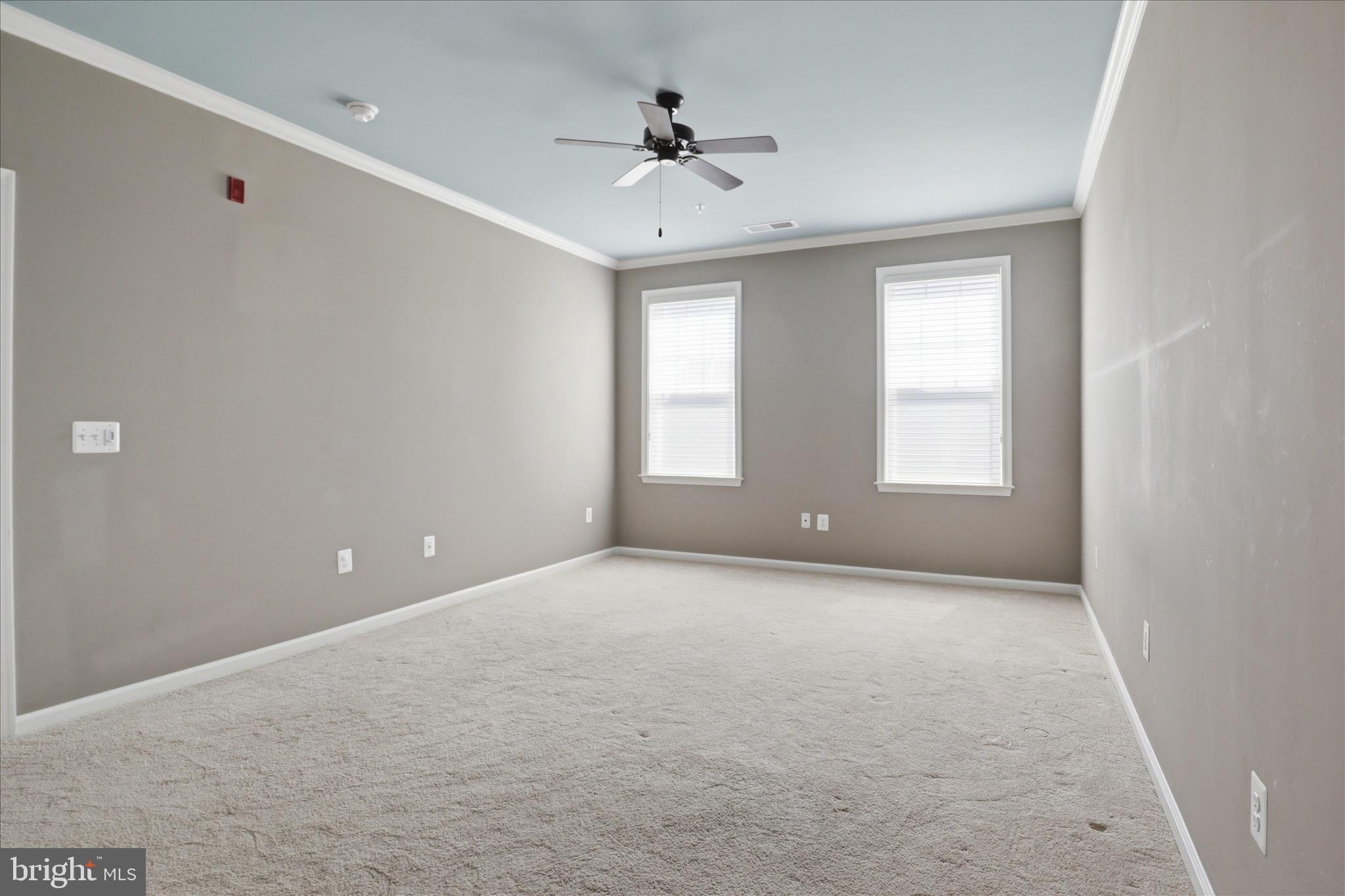 24636 WOOLLY MAMMOTH TERRACE 202